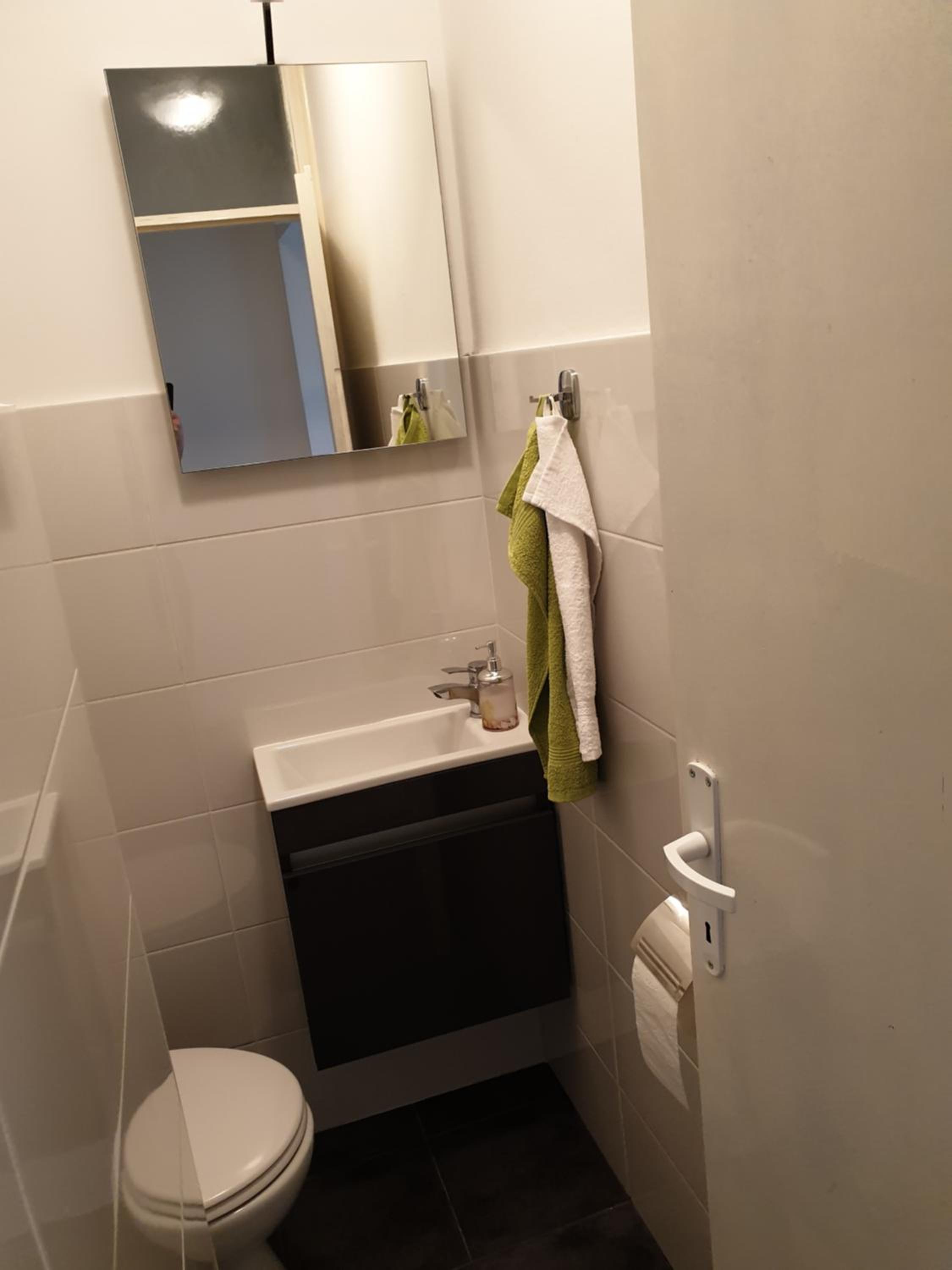 Apartment Roko