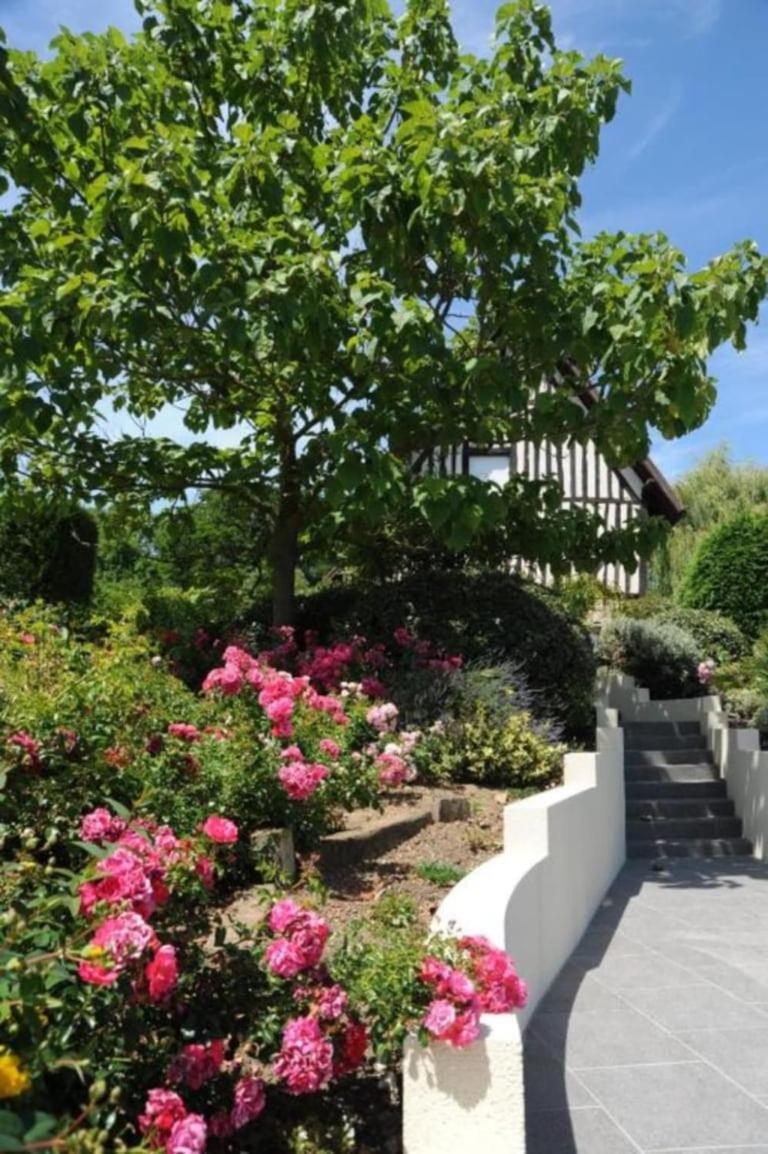 Le Vieux Pressoir view 3