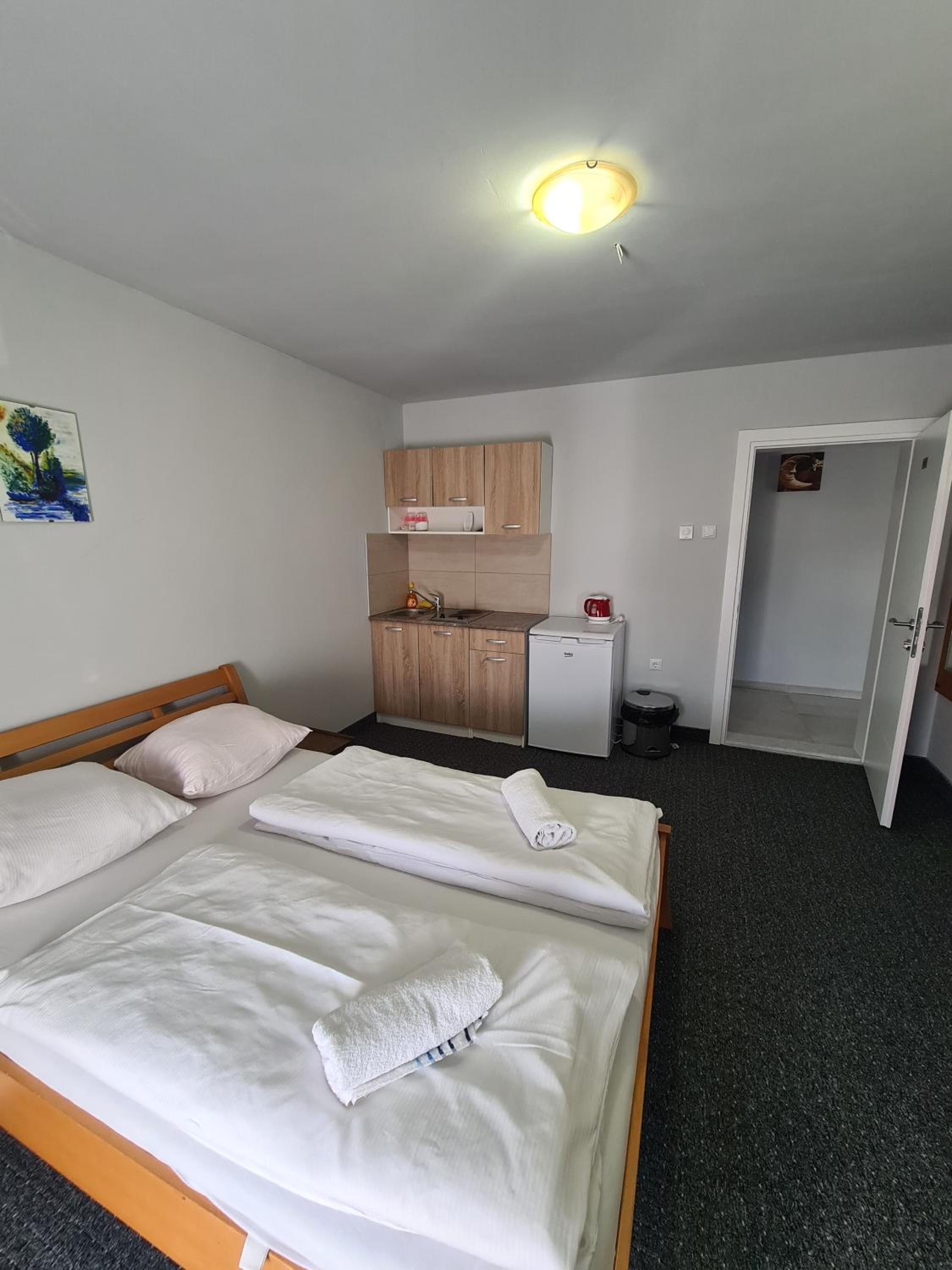 Apartments and Rooms Ski