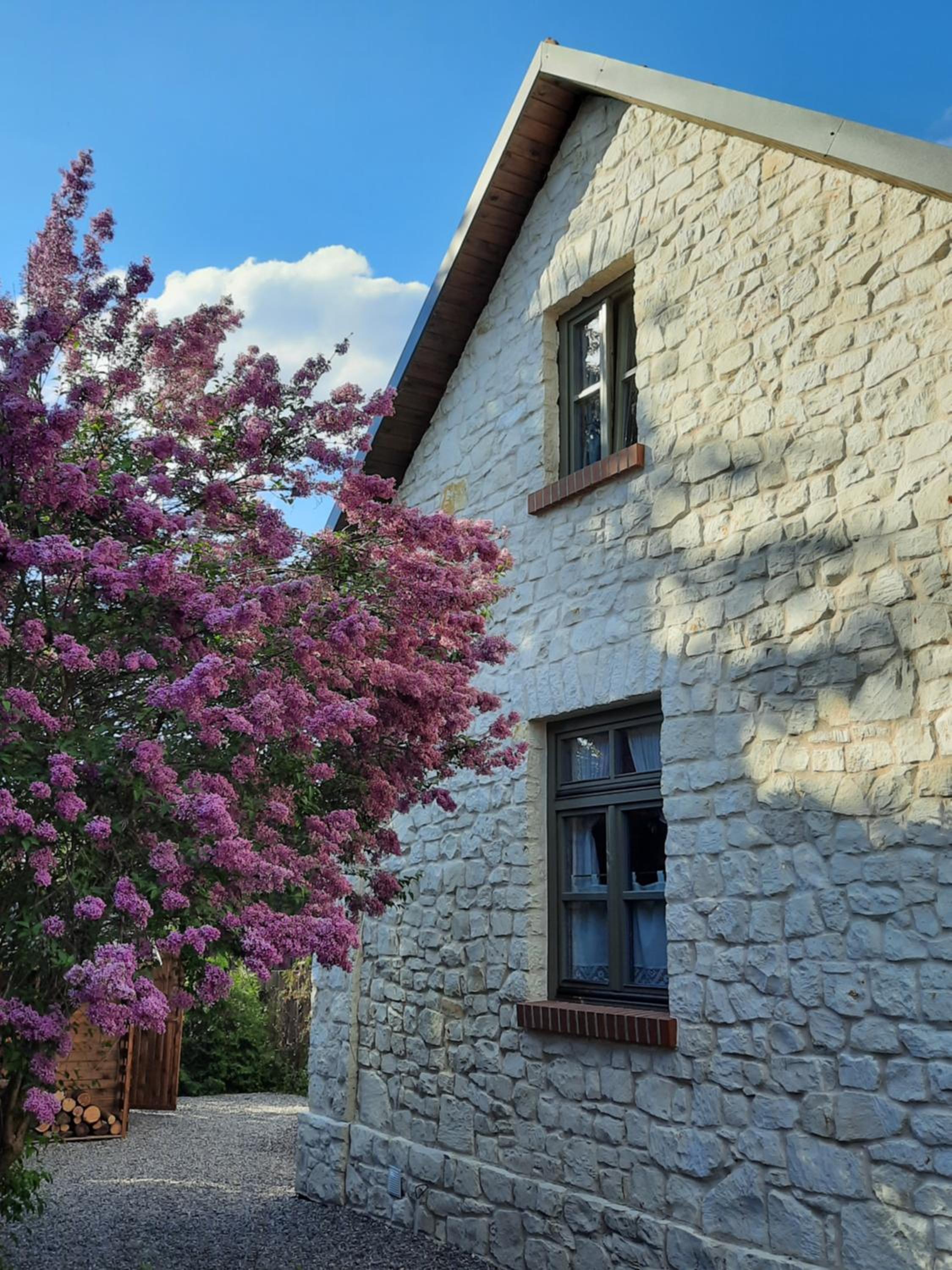 Podzamcze15