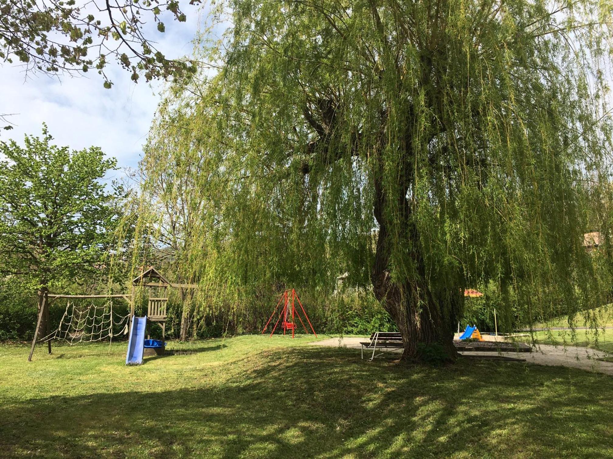 Photo 47