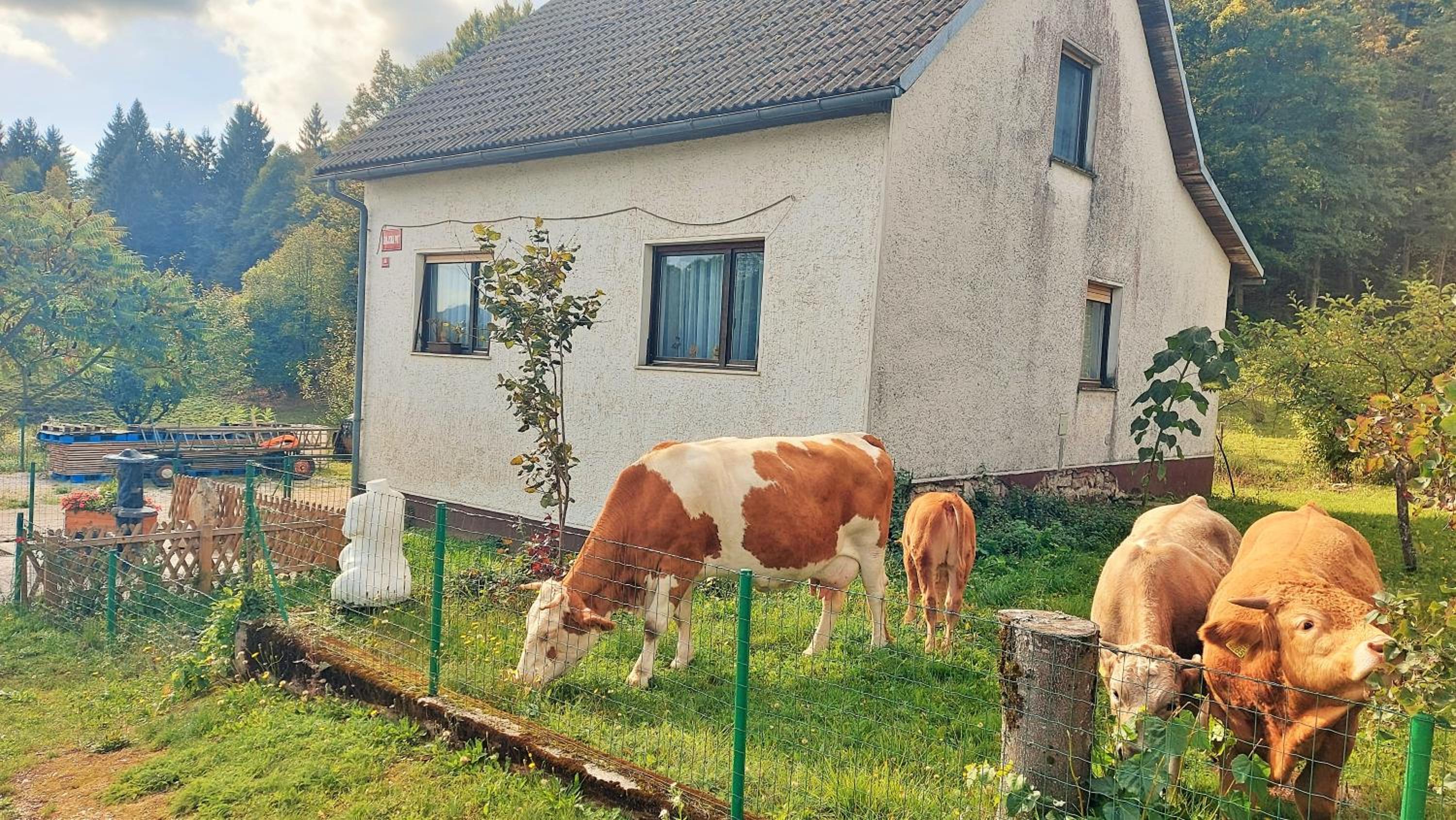 Grajska kmetija view 2