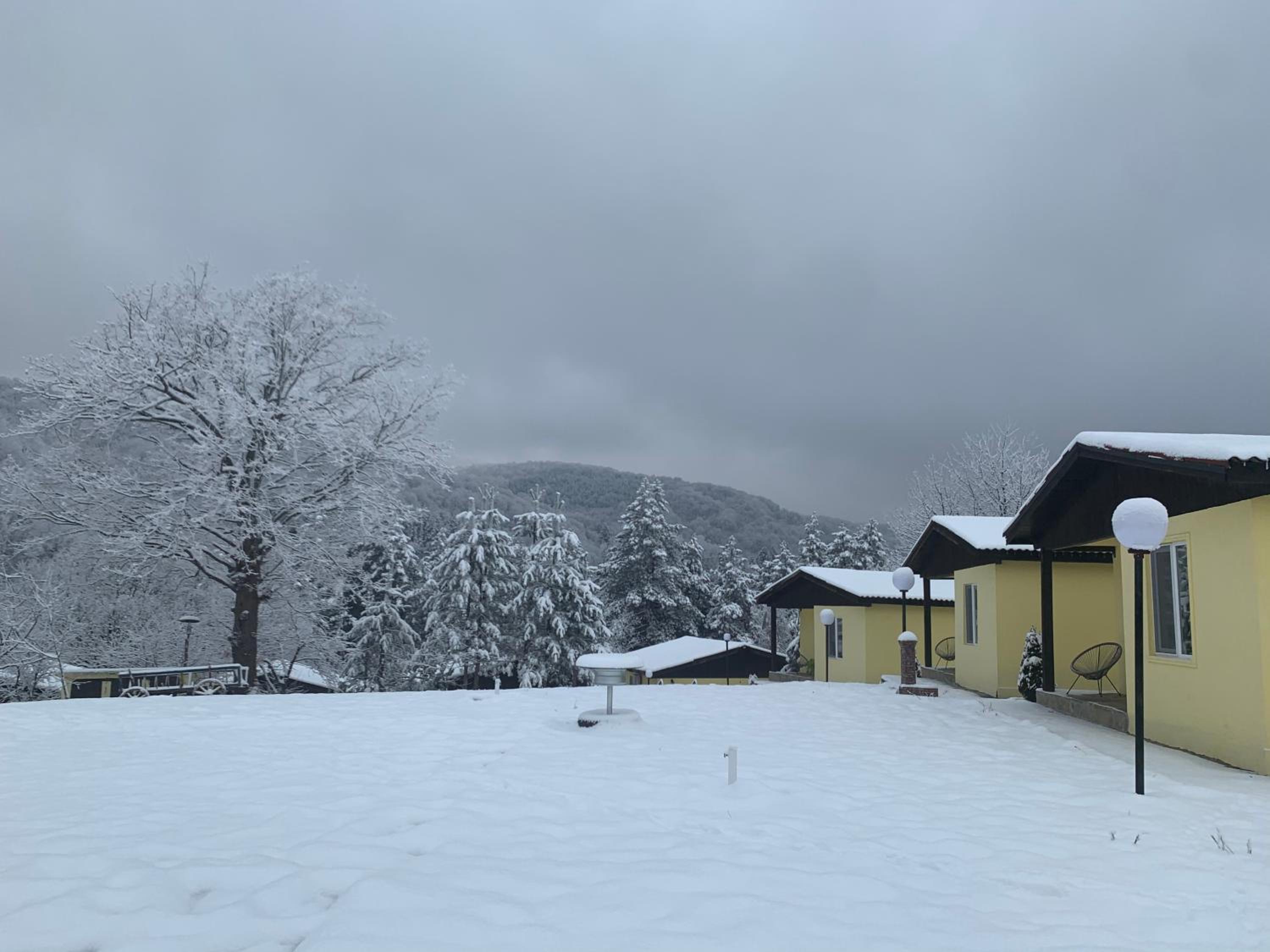 Guest House Daskalov