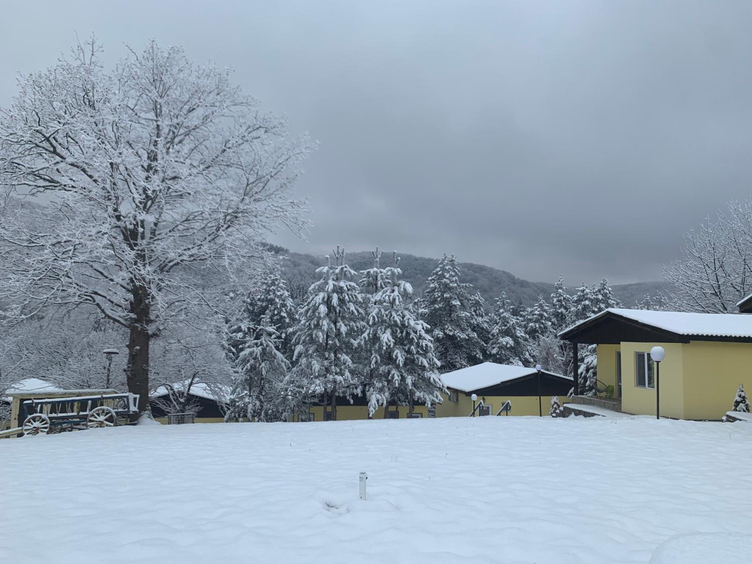 Guest House Daskalov