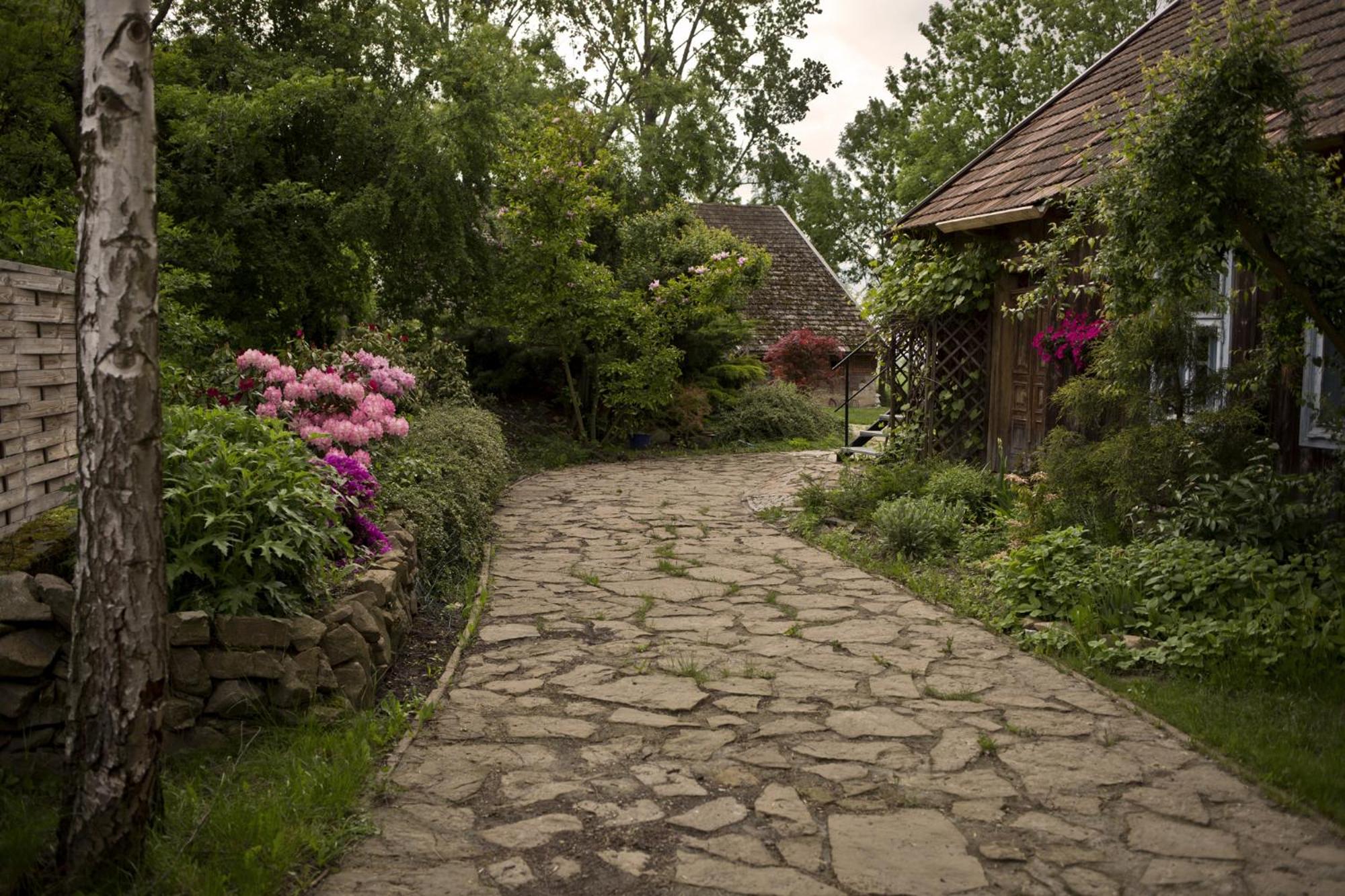 Photo 16