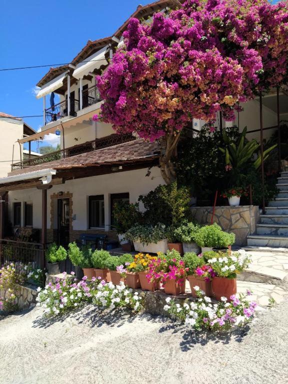 Pension Holidays Studios view 2