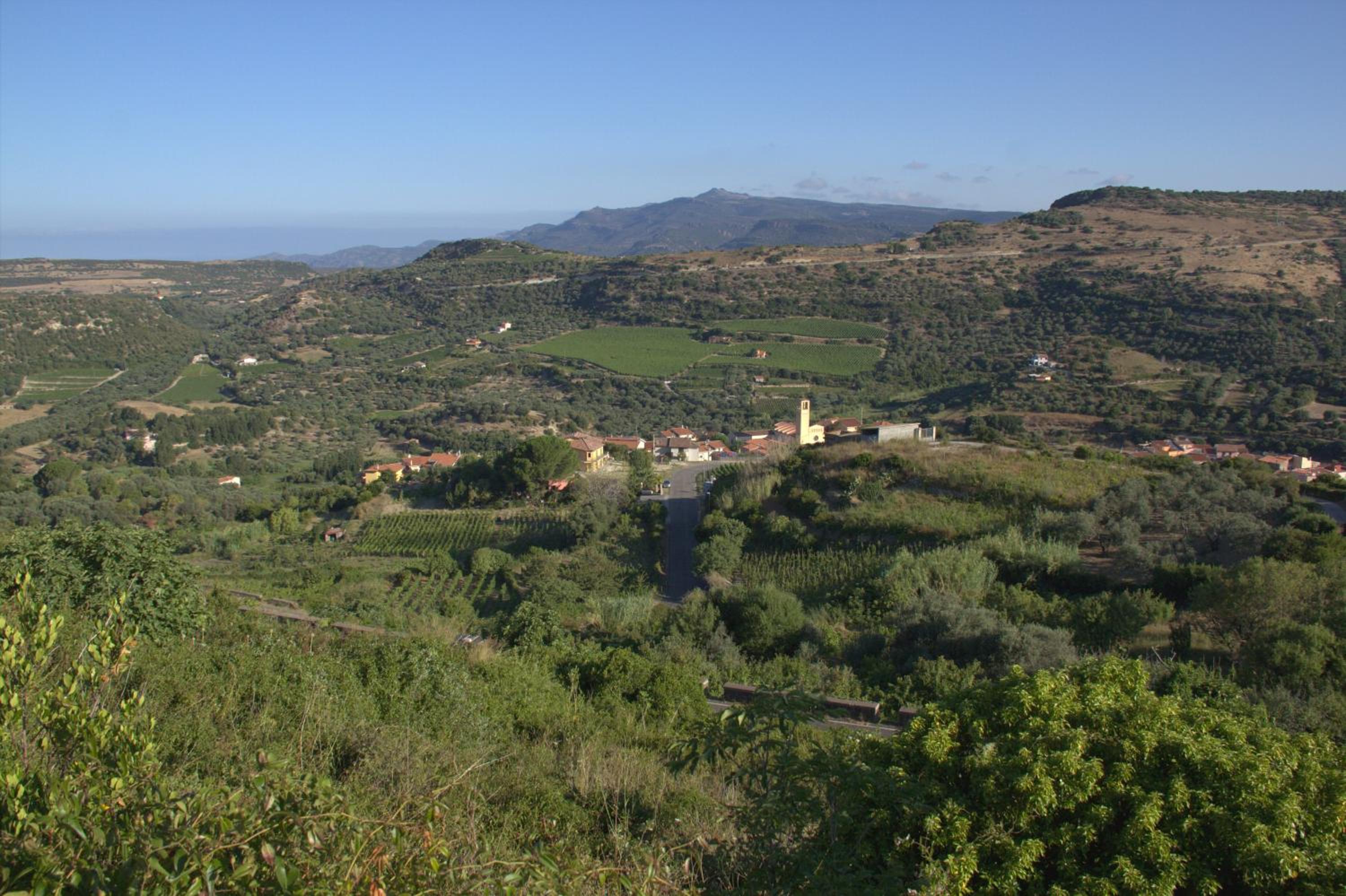 Il Castello di Modolo view 3