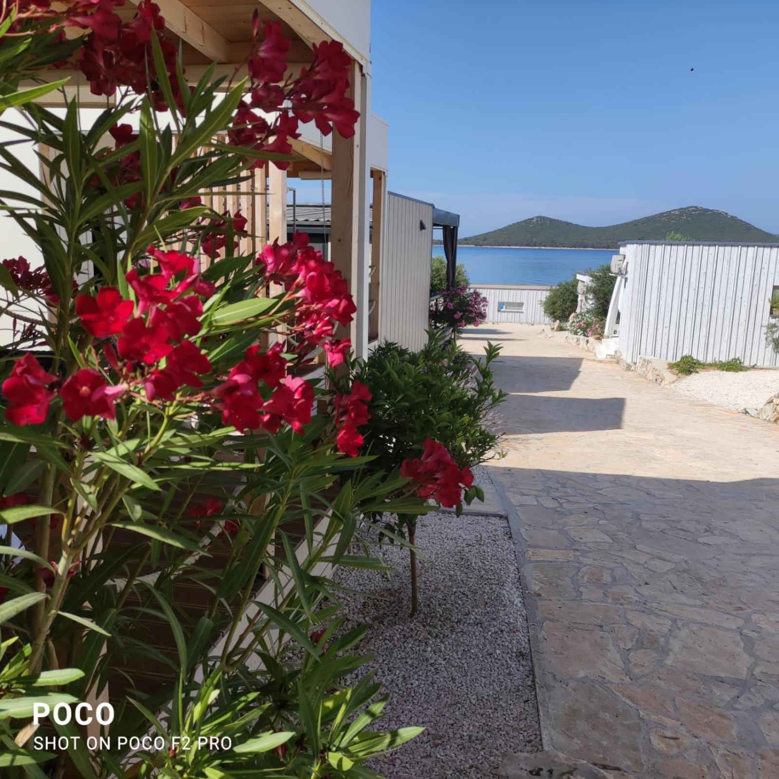 Bungalow on the beach - Buqez Eco Resort view 2
