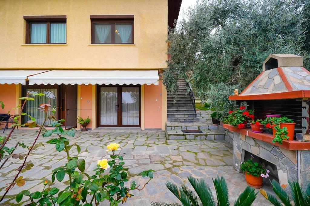 Olive's House view 2