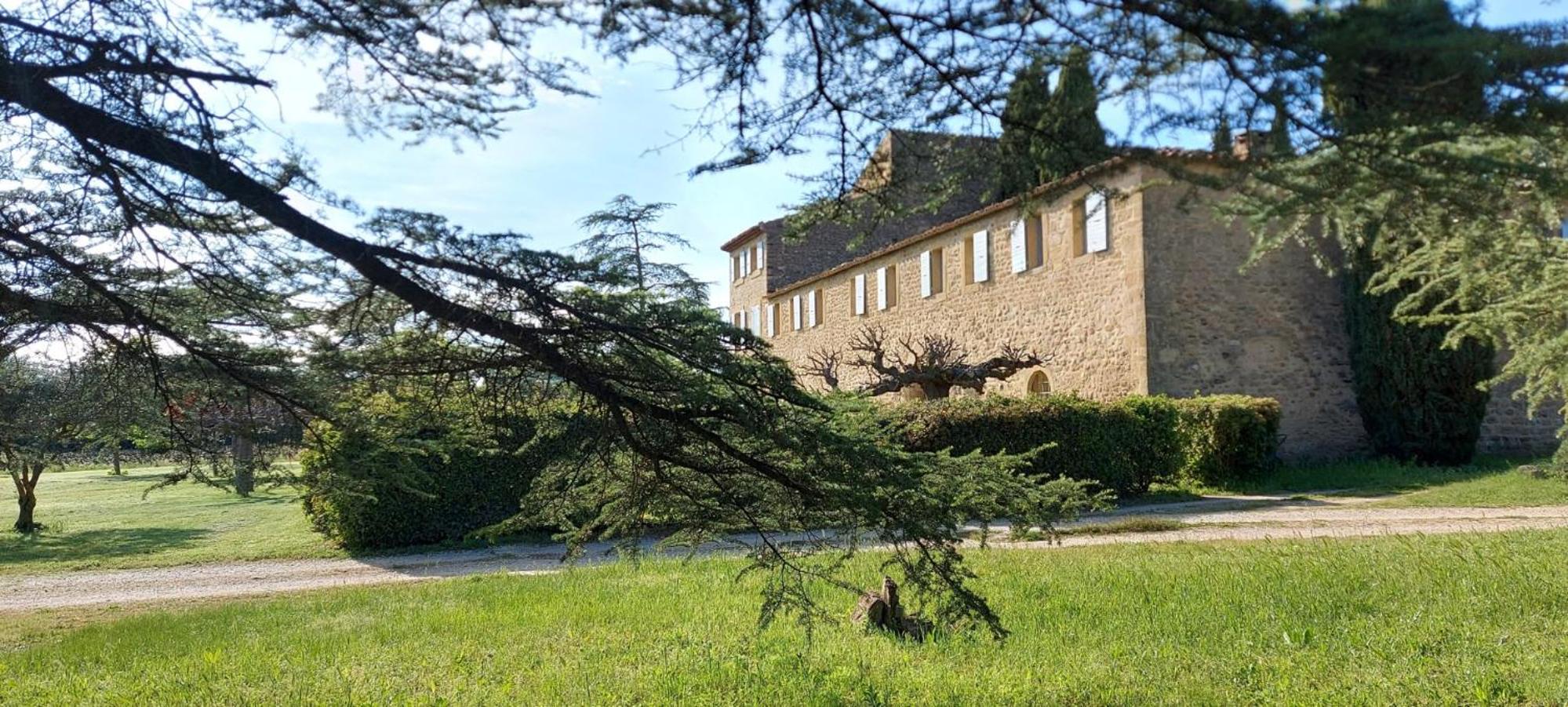 Château Saint-Pierre de Mejans view 4