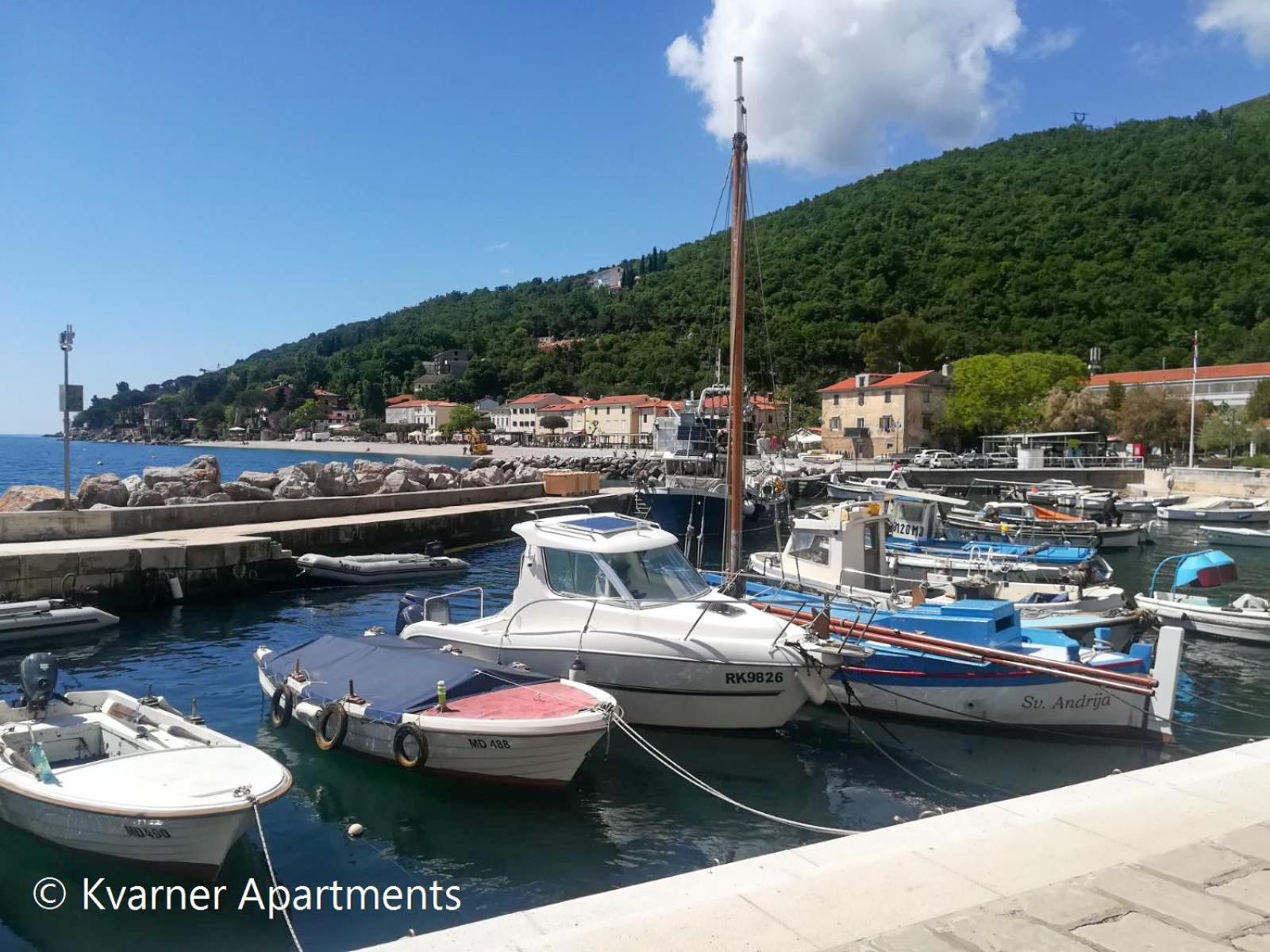 Kvarner Apartments II - Mošćenička Draga view 5