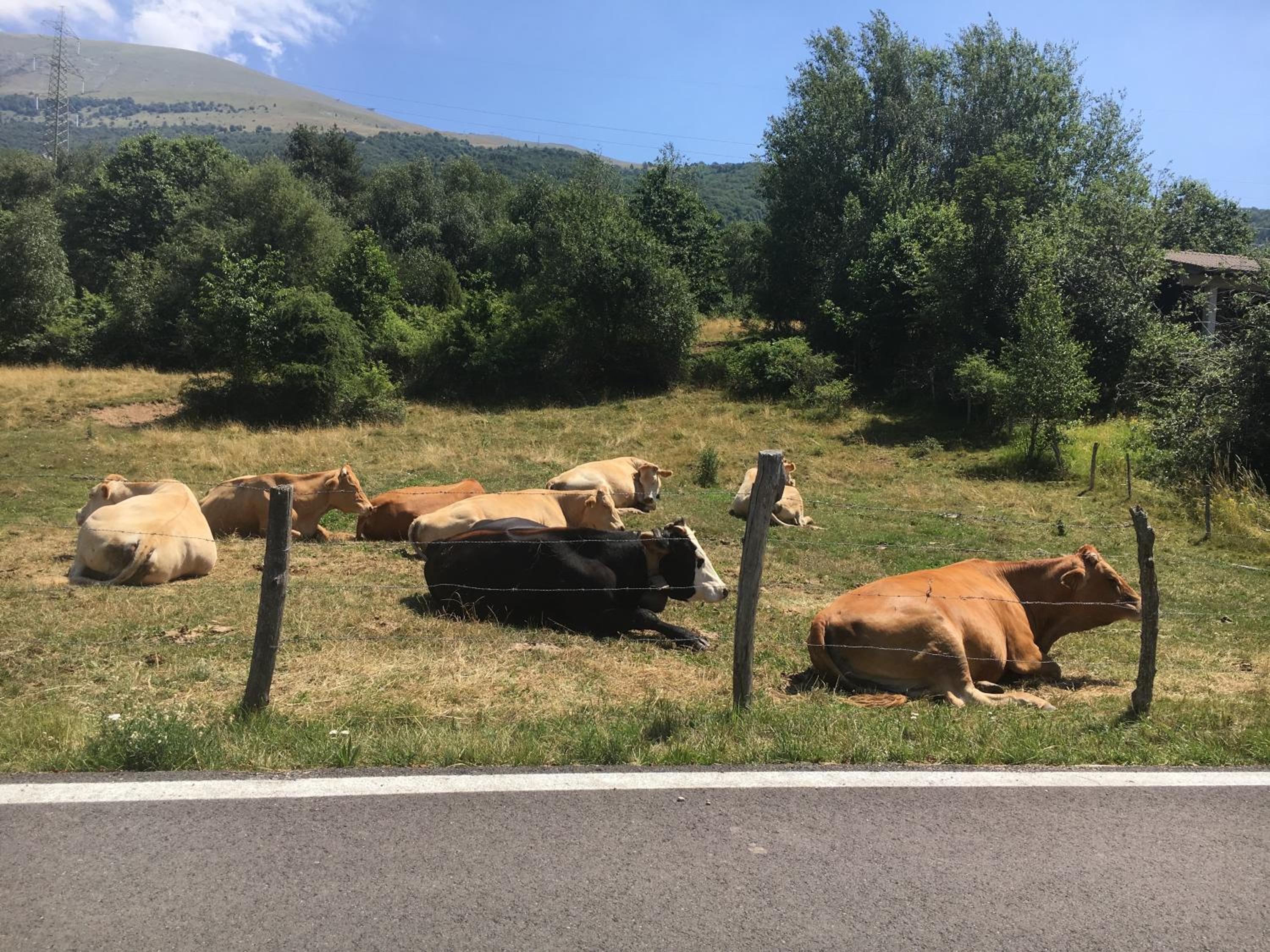 Appartamento Prada Bellavista Lago di Garda photo 5