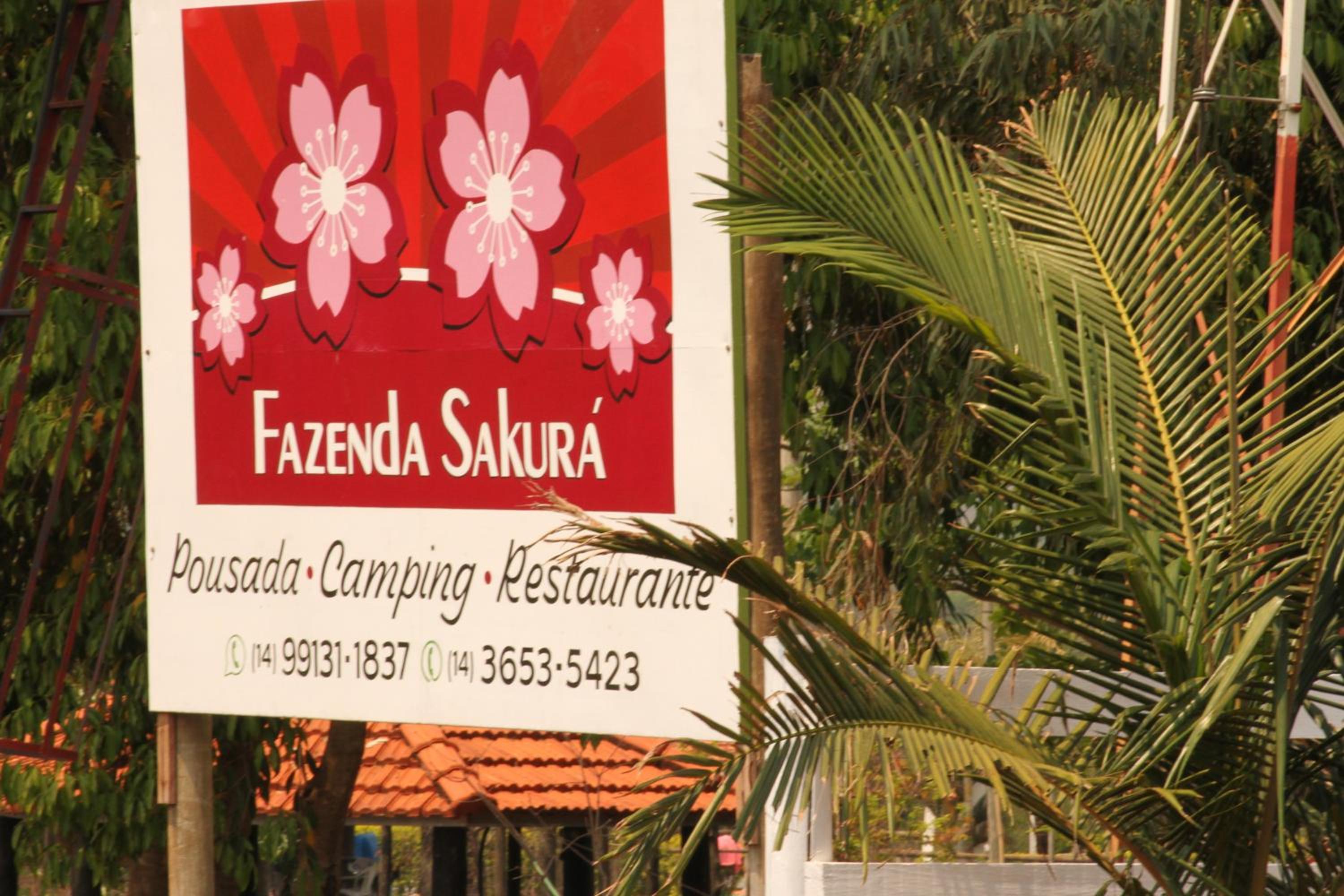 Hotel POUSADA SAKURA - Image 1