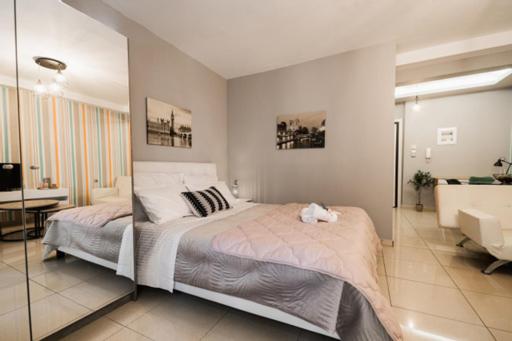 Irida Studio view 2