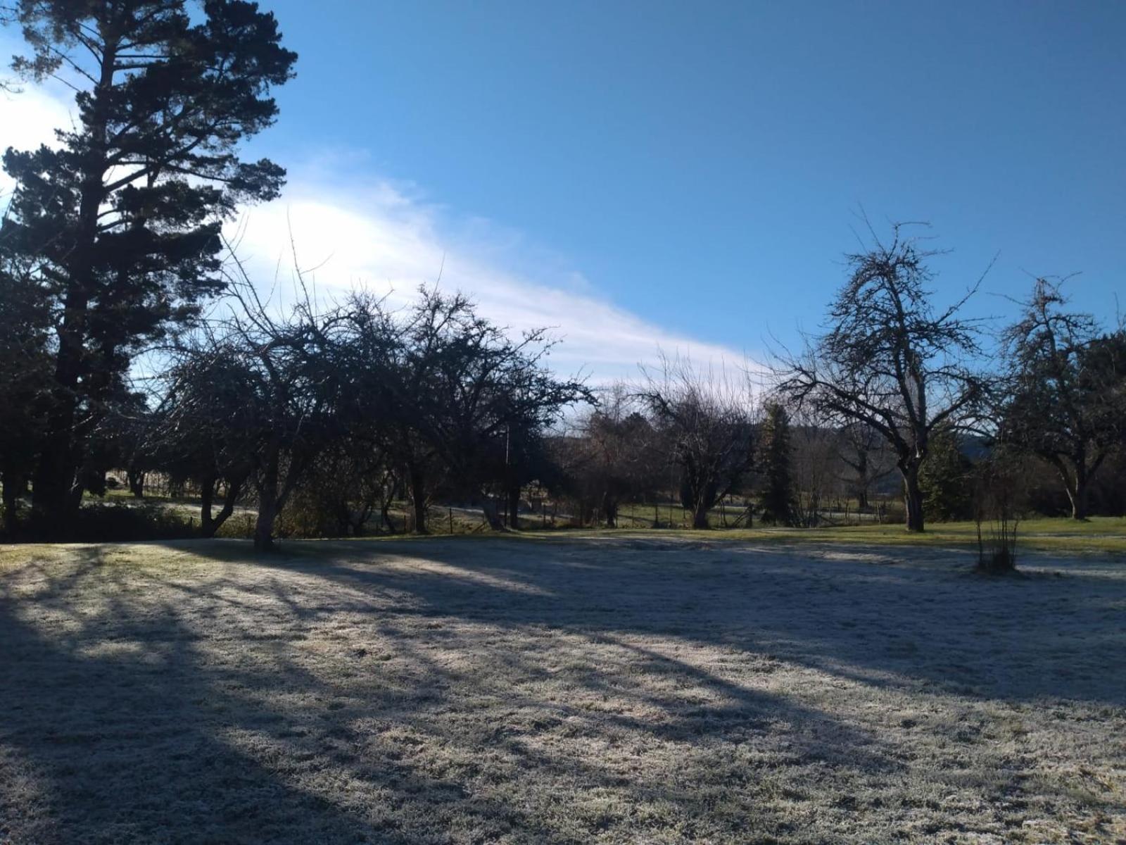 Hotel Cabañas Aliwen - Image 1