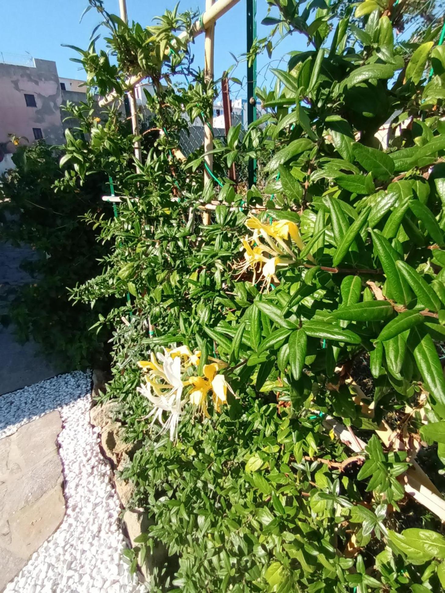 Terrazza sul Mare