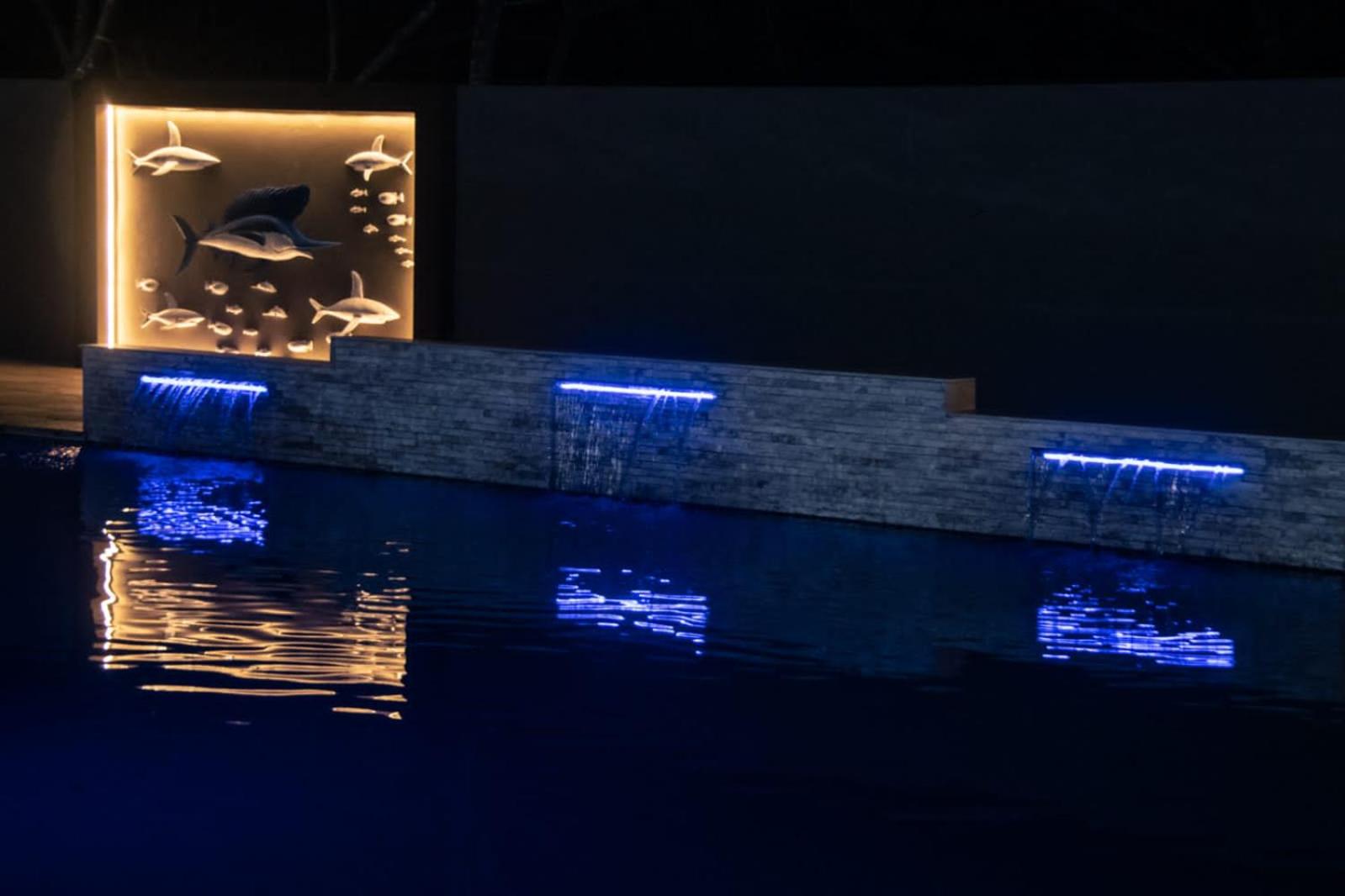 WHITE SHARK RESORT