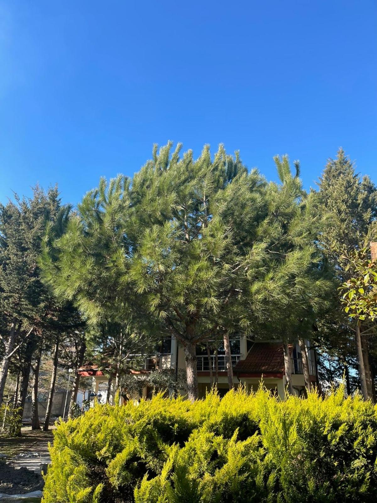 Hotel Garden Villa ARDO