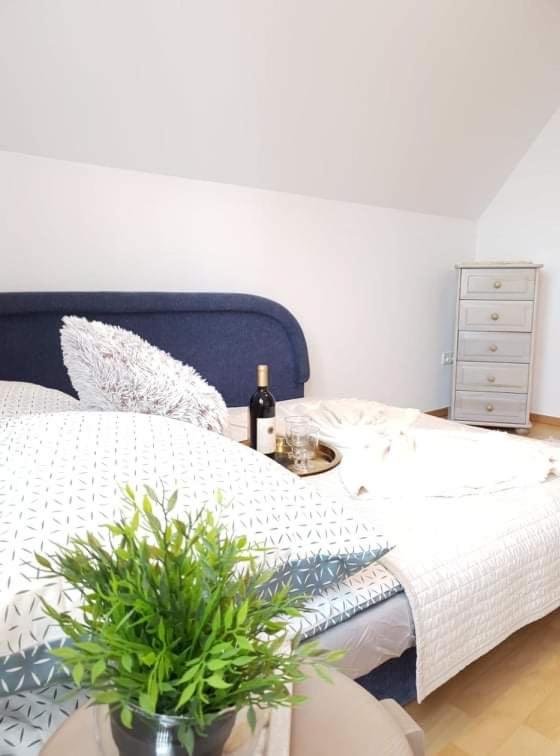 apartament Dominik view 4