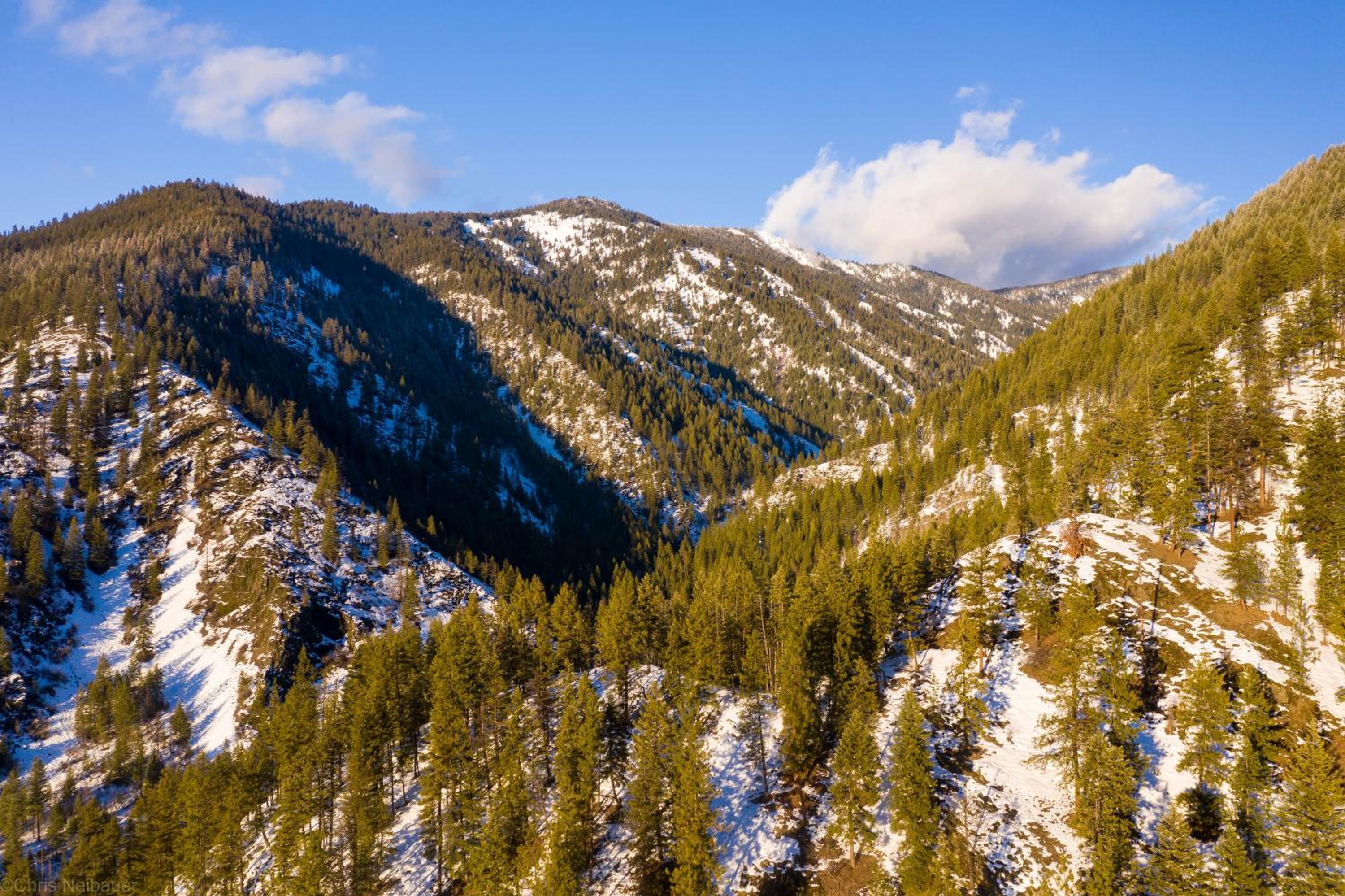 bear creek resort