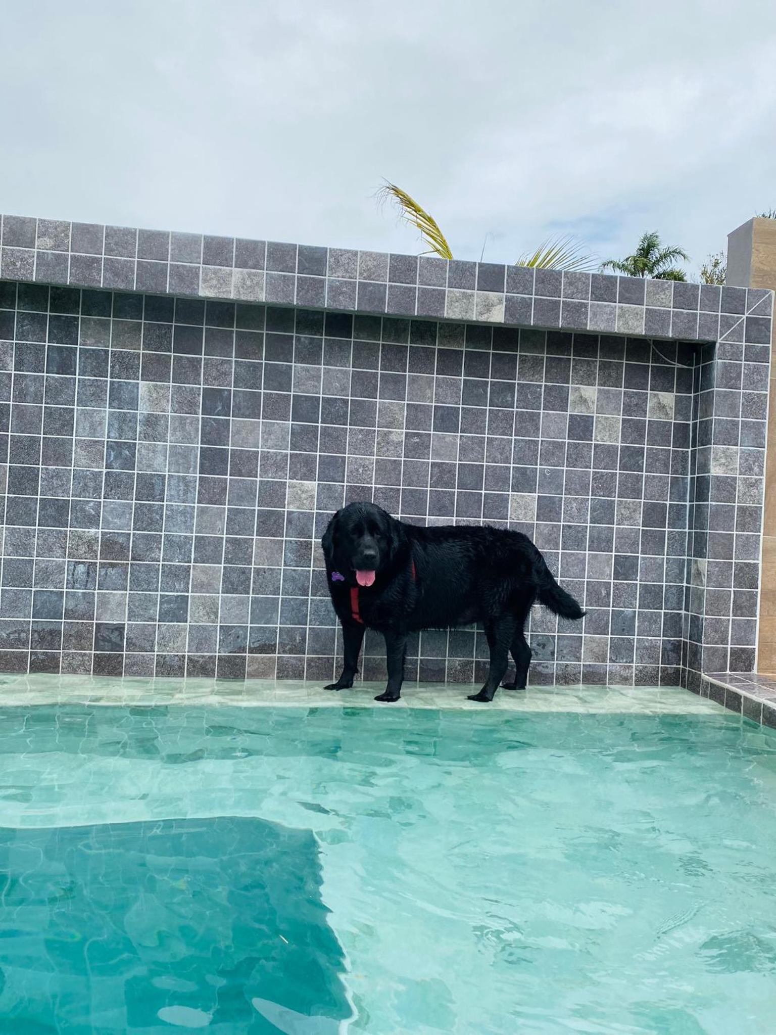 Casinhas Terõ - Chalé 01 com Piscina