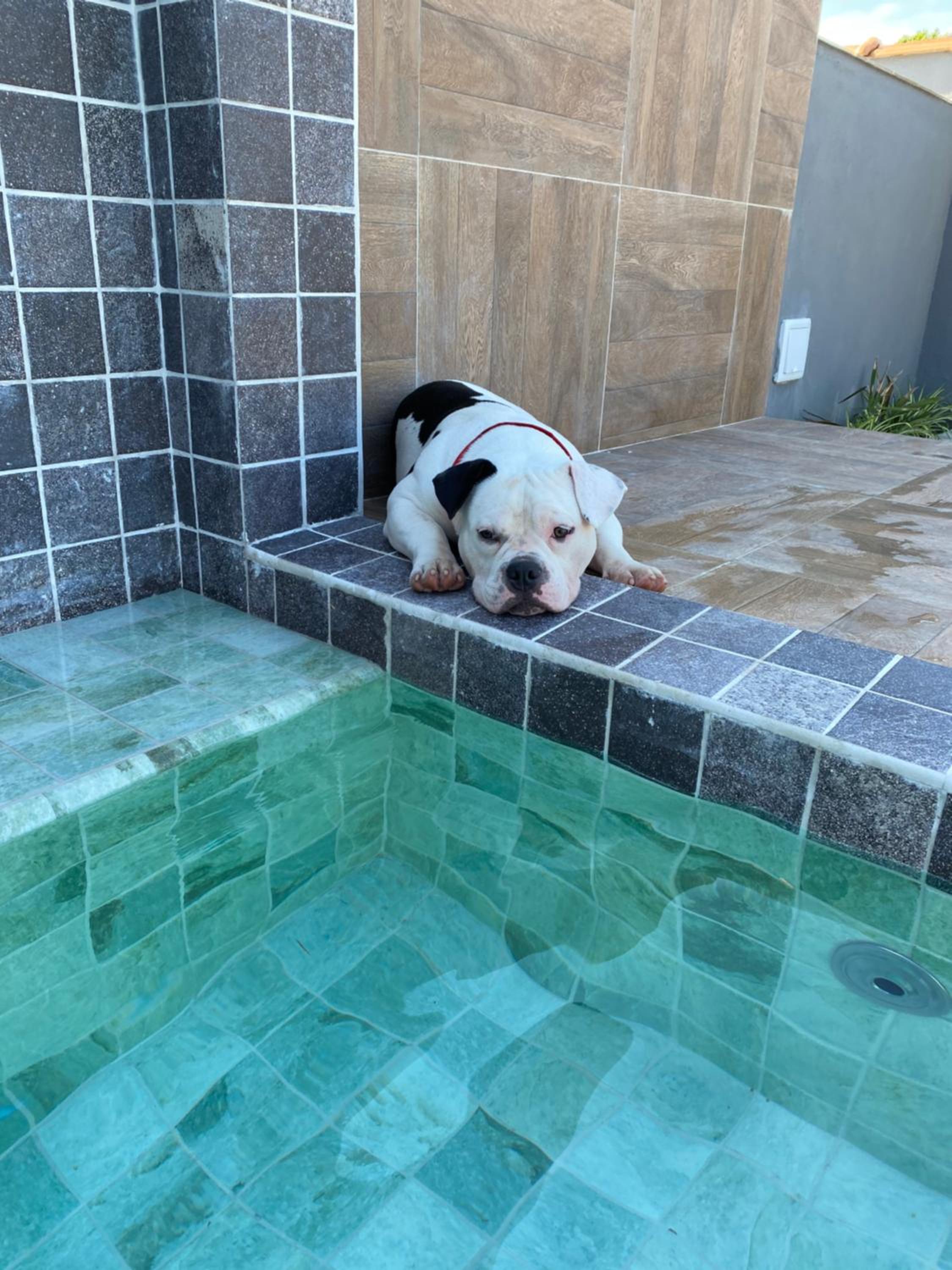 Casinhas Terõ - Chalé 01 com Piscina