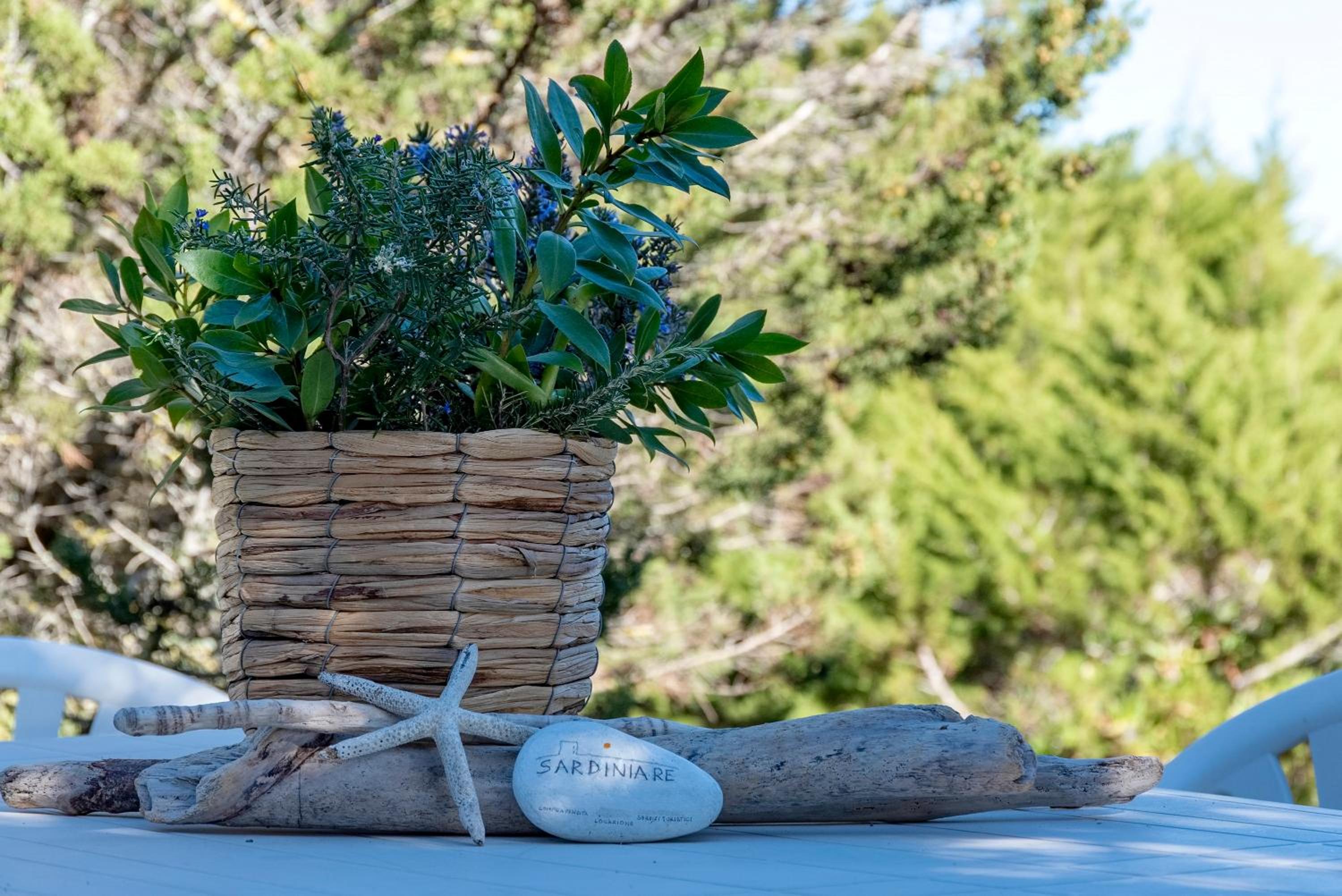 SARDINIA RE - Villa Pelosa photo 4