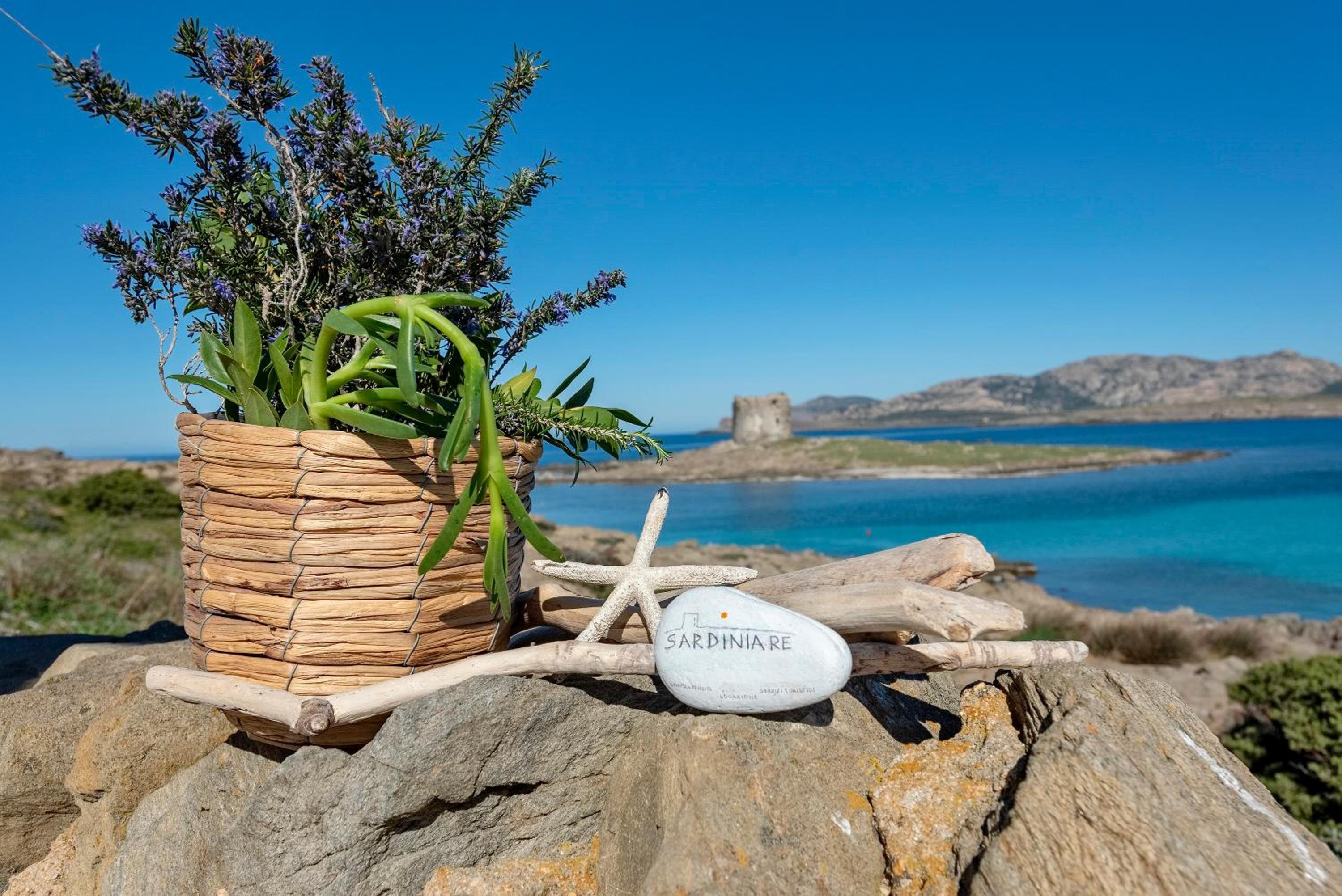 SARDINIA RE - Villa Pelosa photo 3