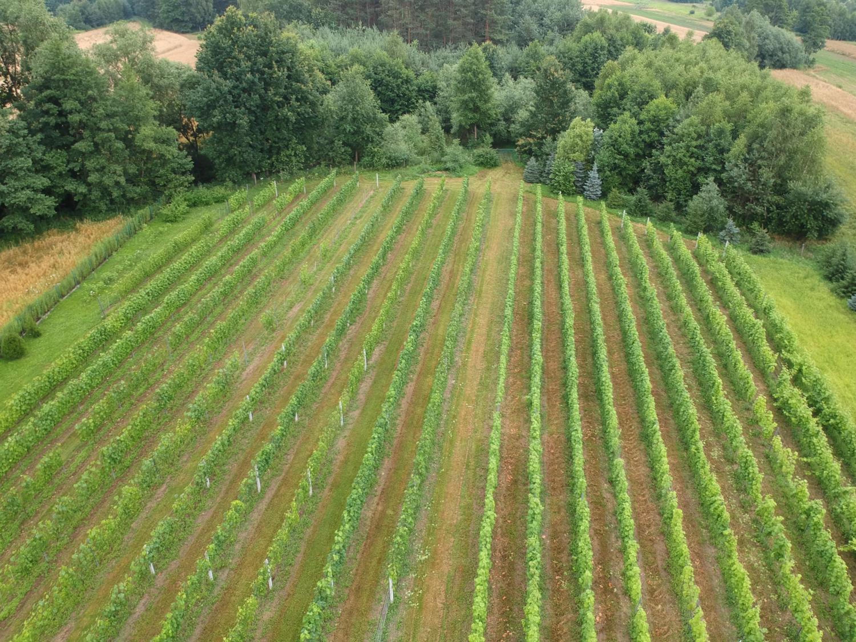 Agroturystyka ROGALA