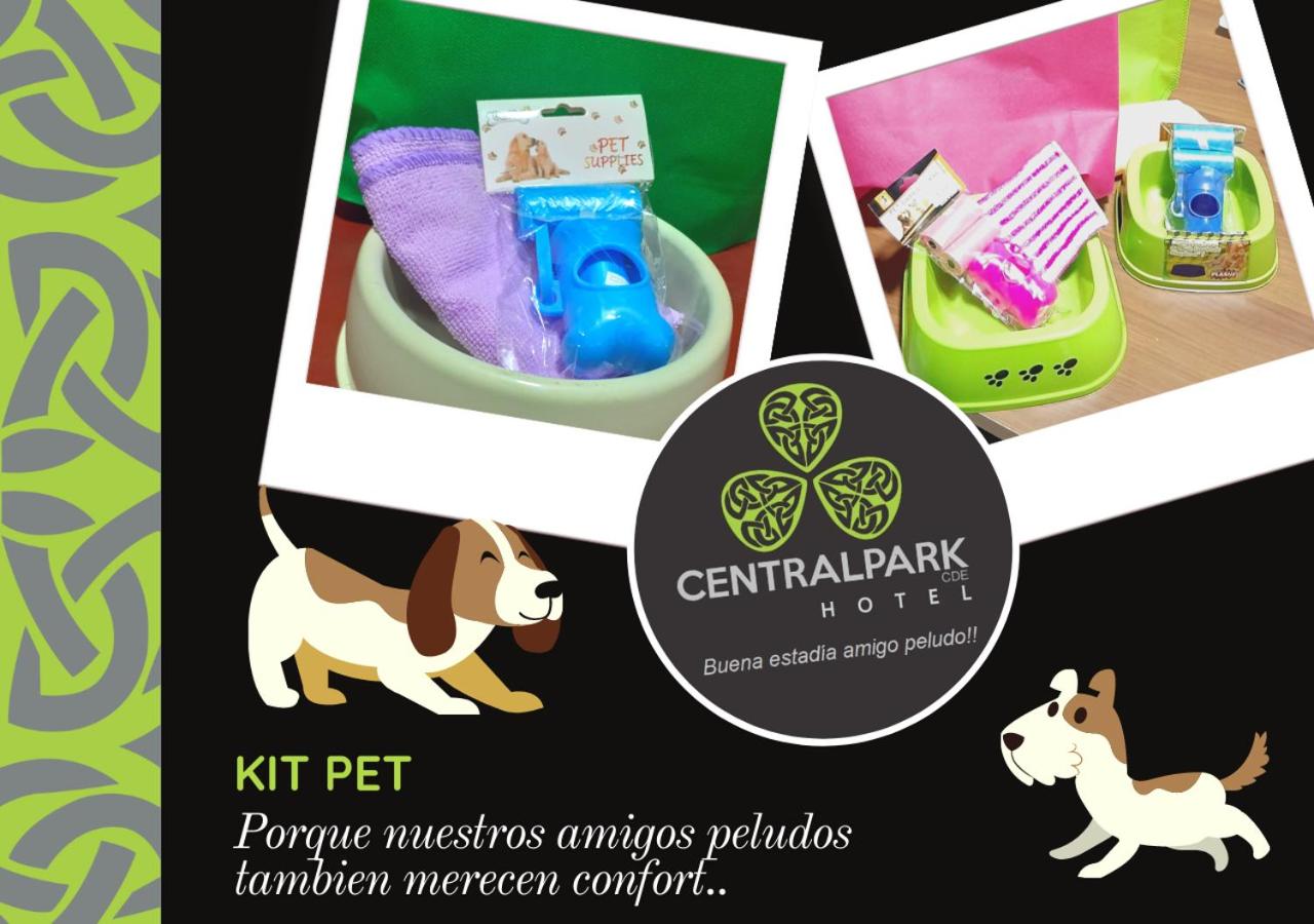 CENTRAL PARK CDE view 3