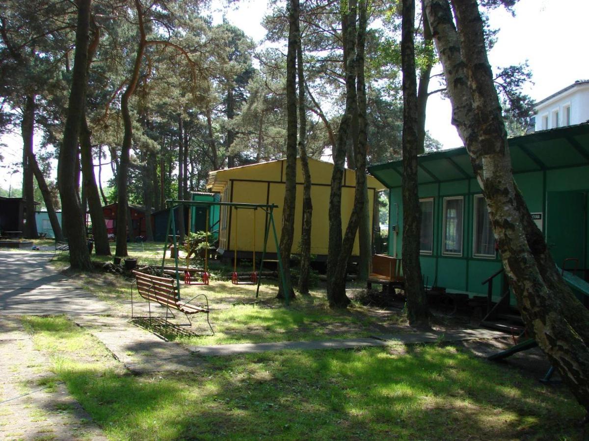 DOMKI SZUMI LAS view 3