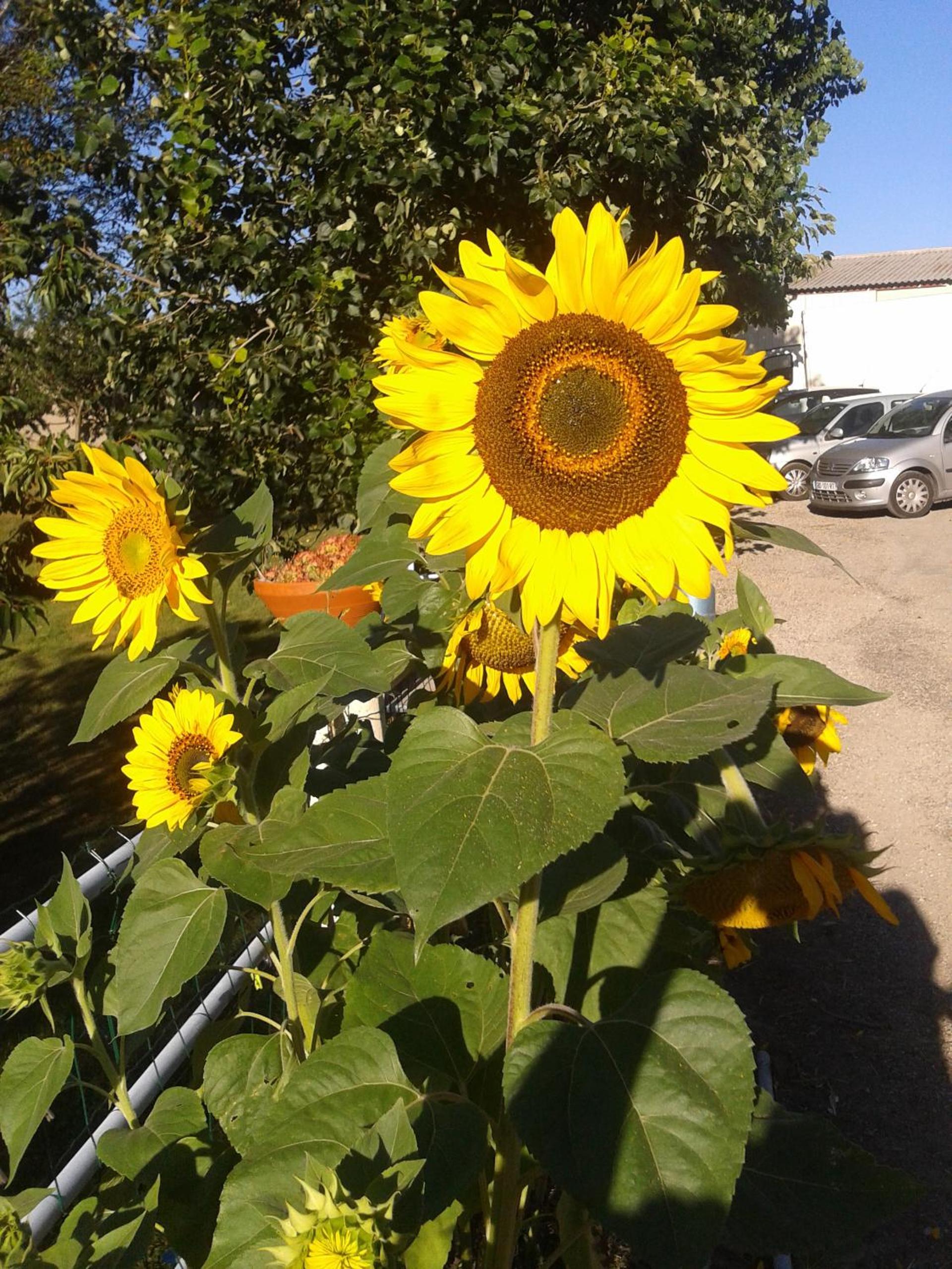 Photo 14
