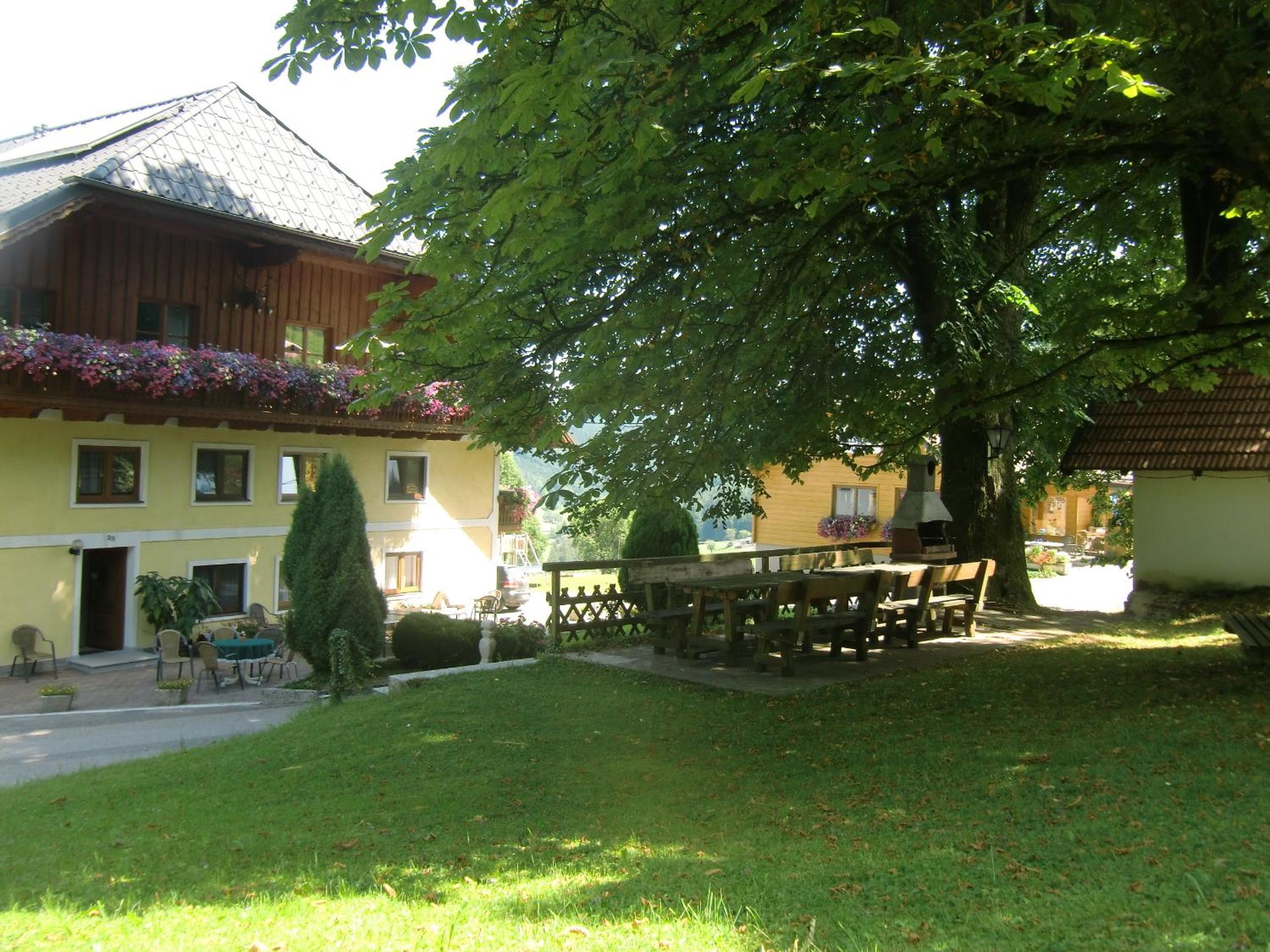 Photo 42