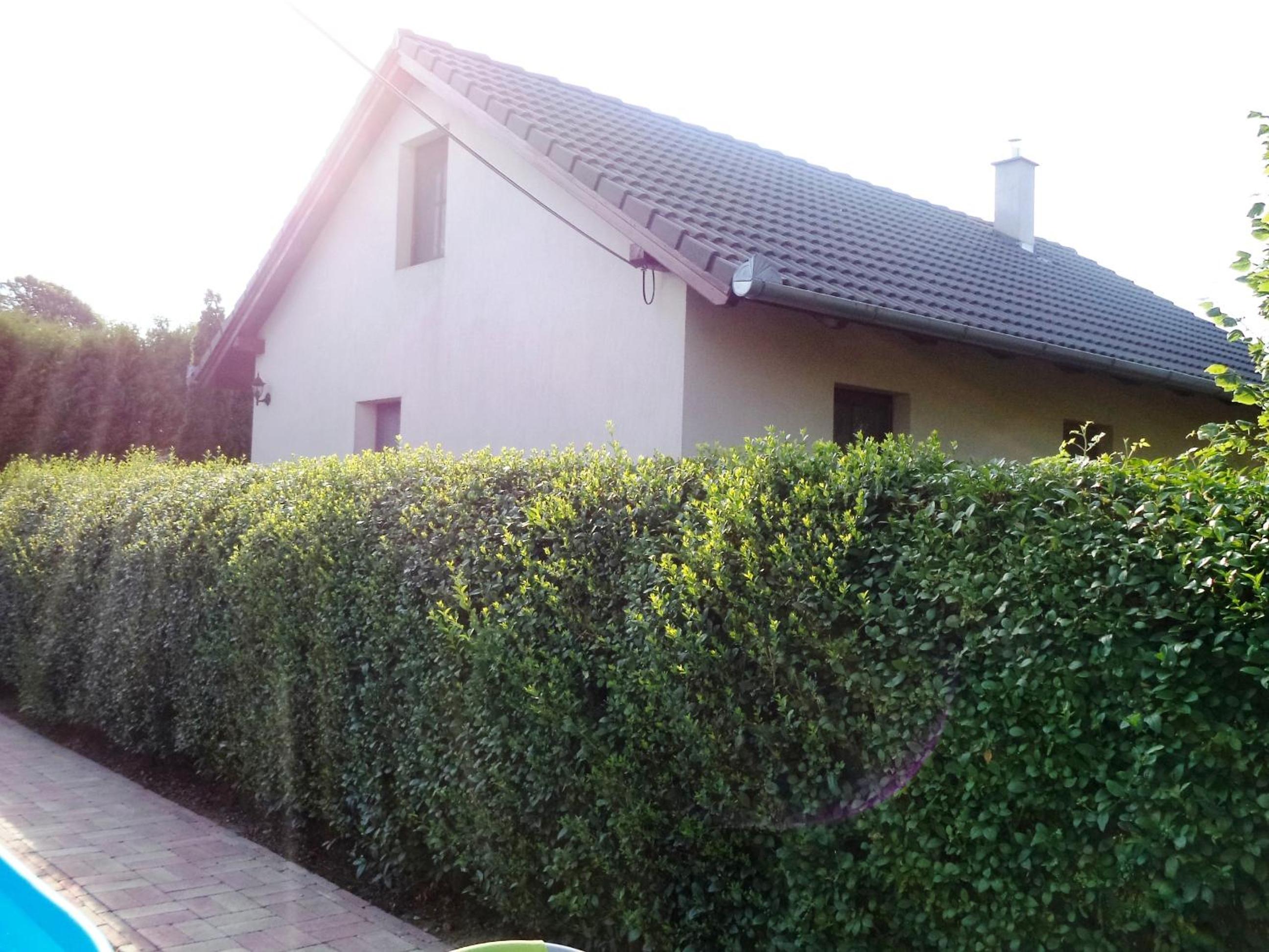 Photo 31