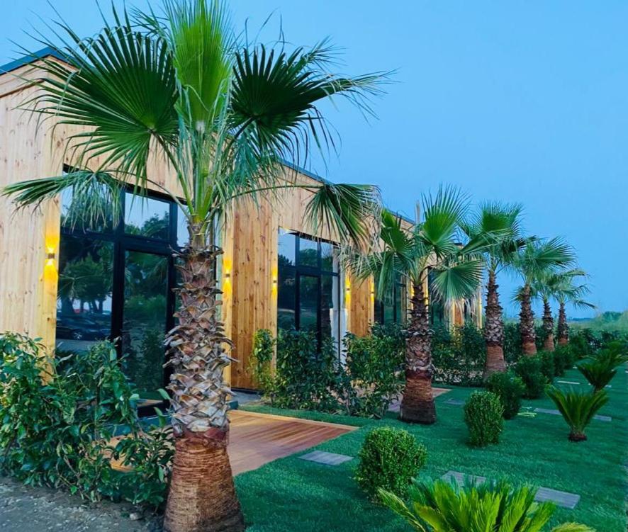 Hotel HAVANA HOUSE - Image 1