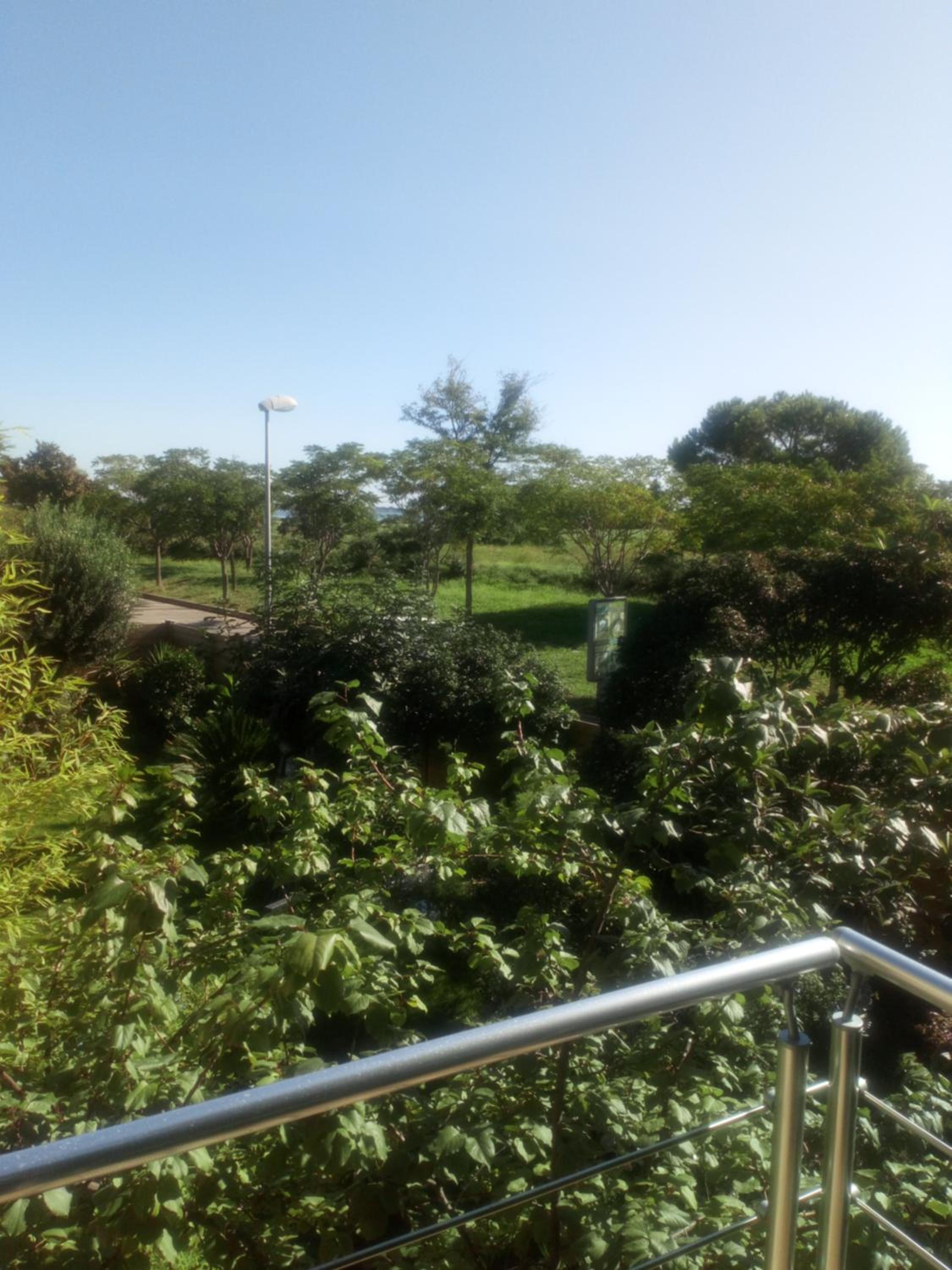 Gite "villa lou félibre" view 4