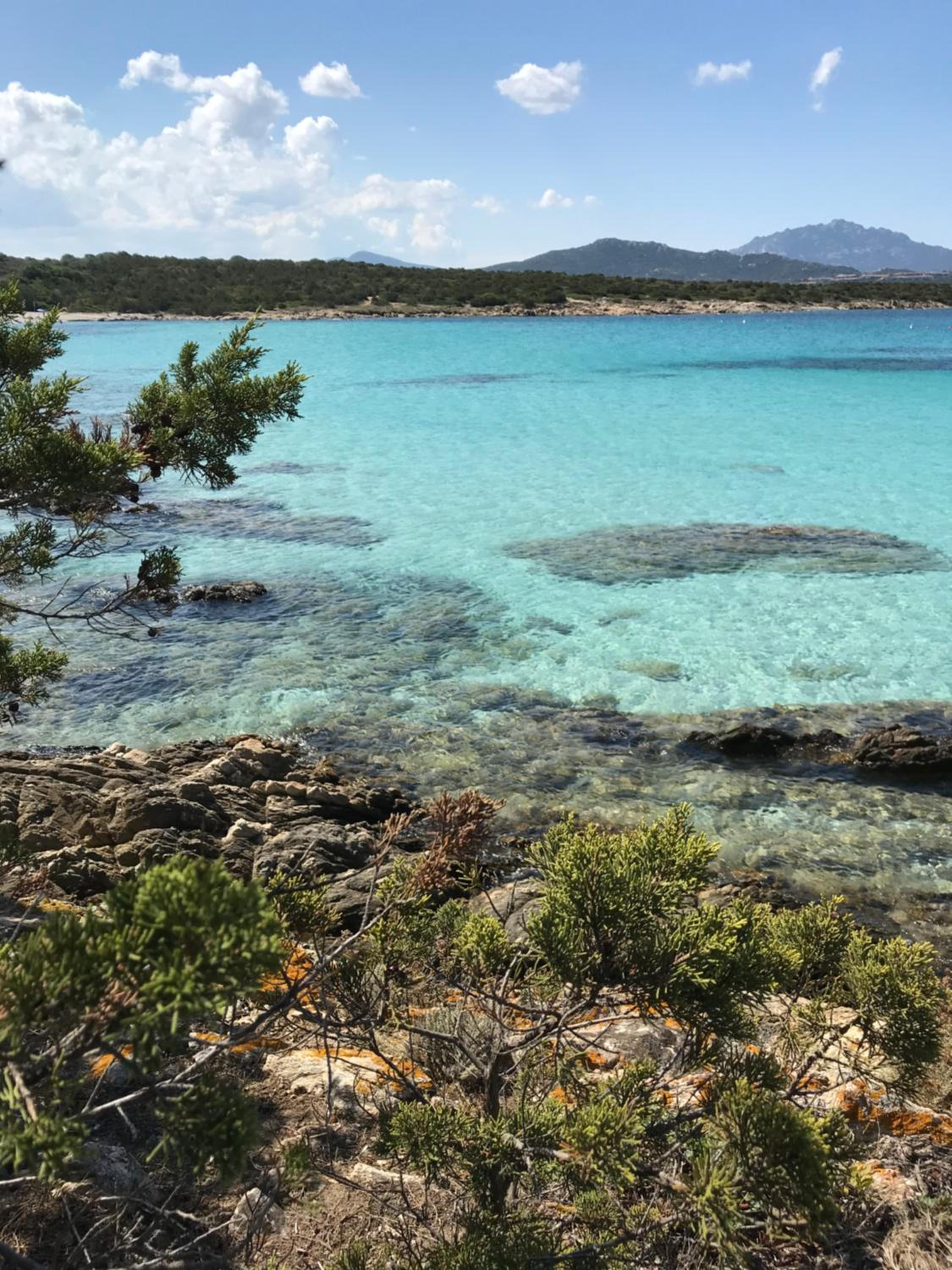 Hotel Villa BOREA - Image 1