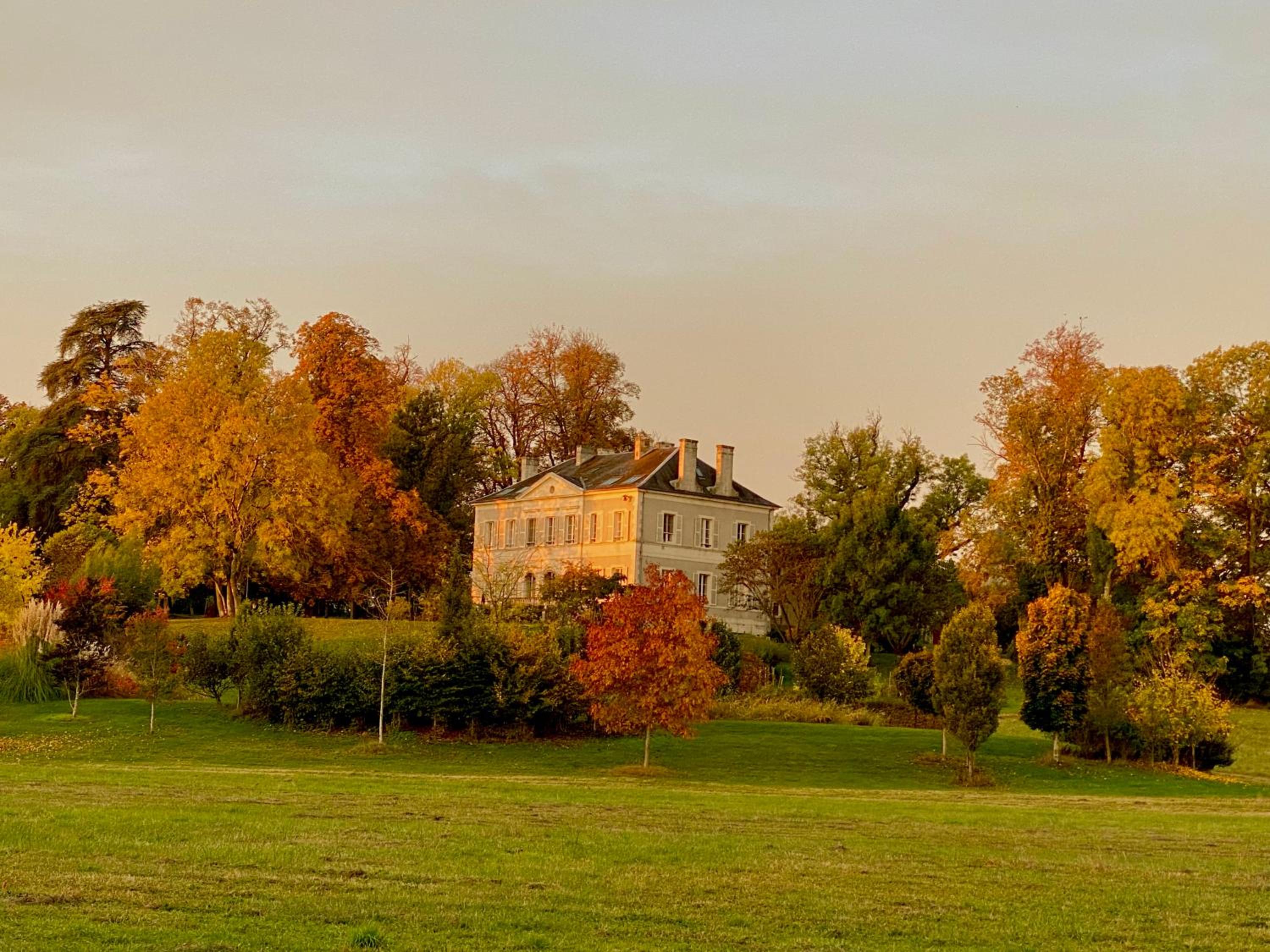 B&B Château de Preuil view 4