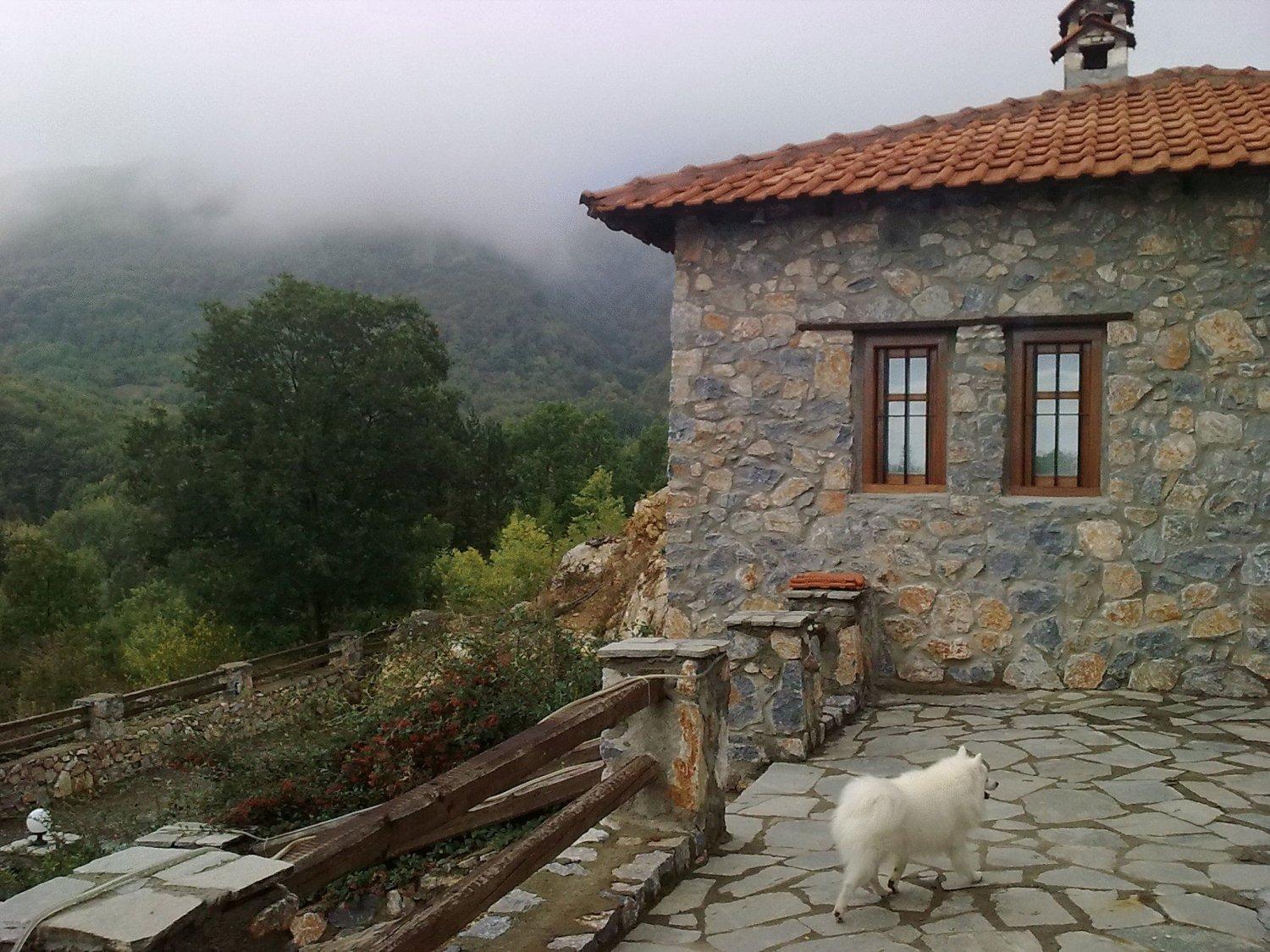 Photo 19