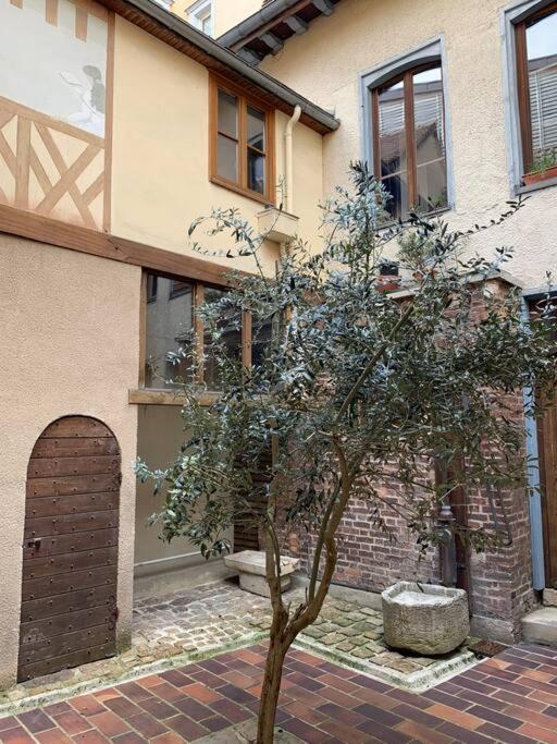 Aube berges de Troyes photo 5