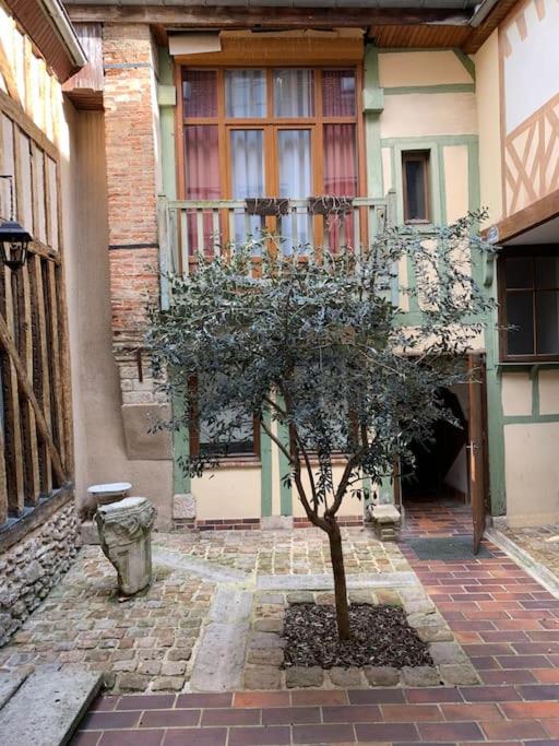 Aube berges de Troyes photo 4