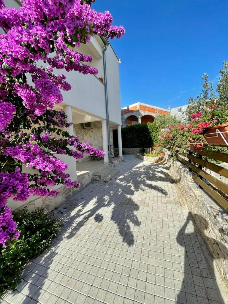 Apartments Elvira