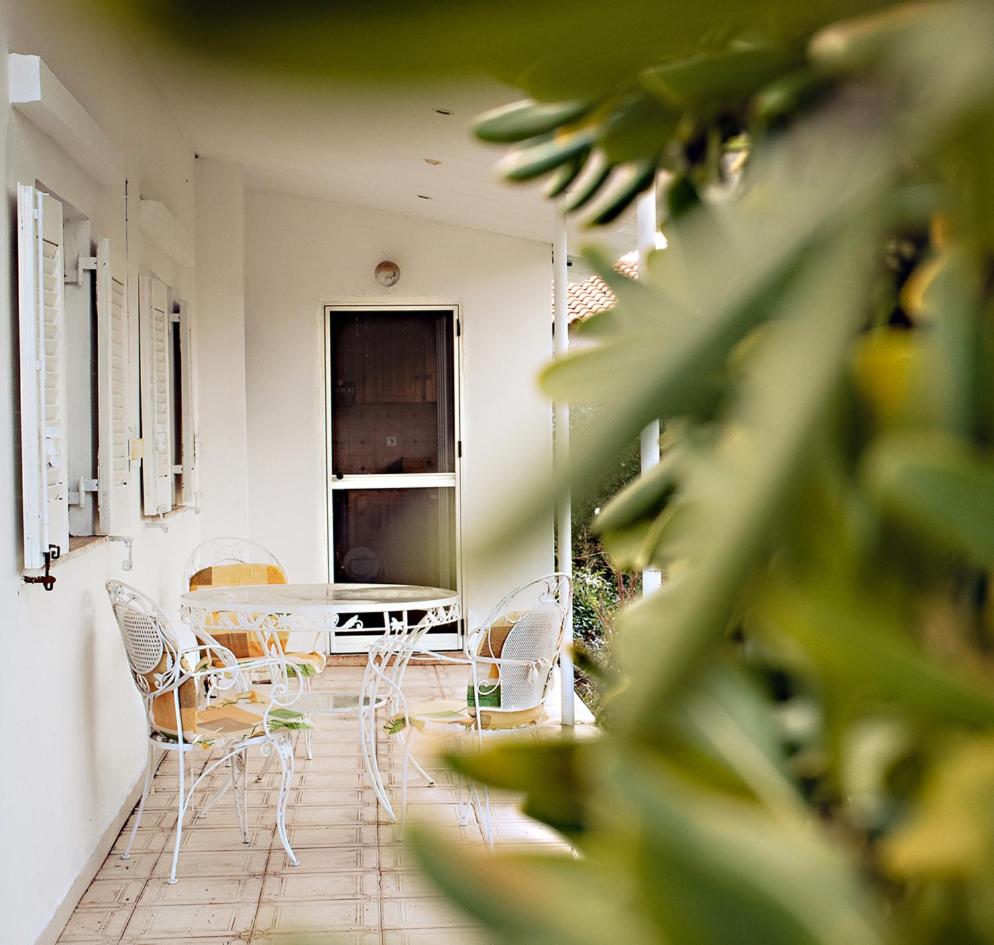 Entire House with Garden view 2