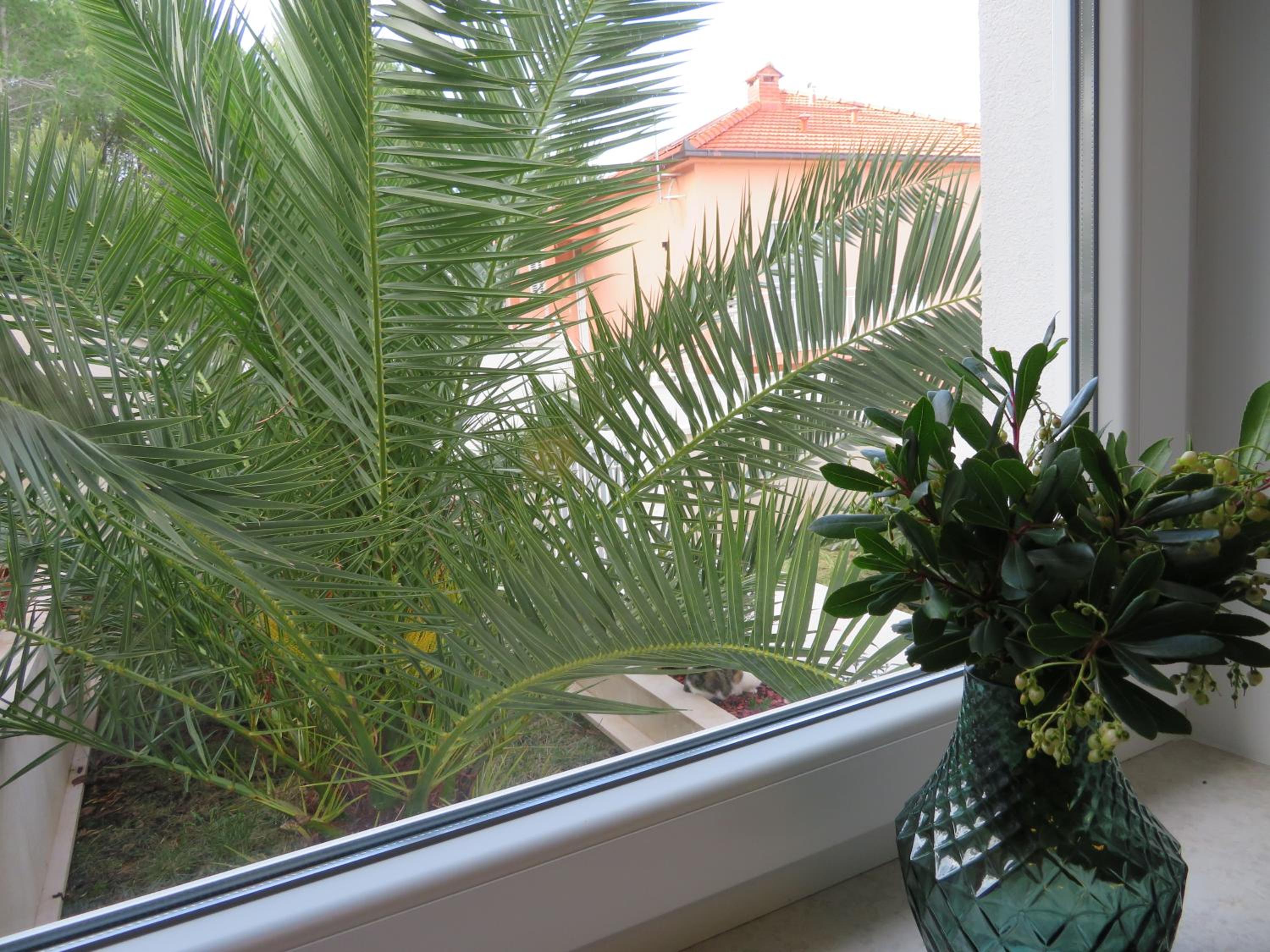 Korčula - apartman 2, Prigradica - IVAN