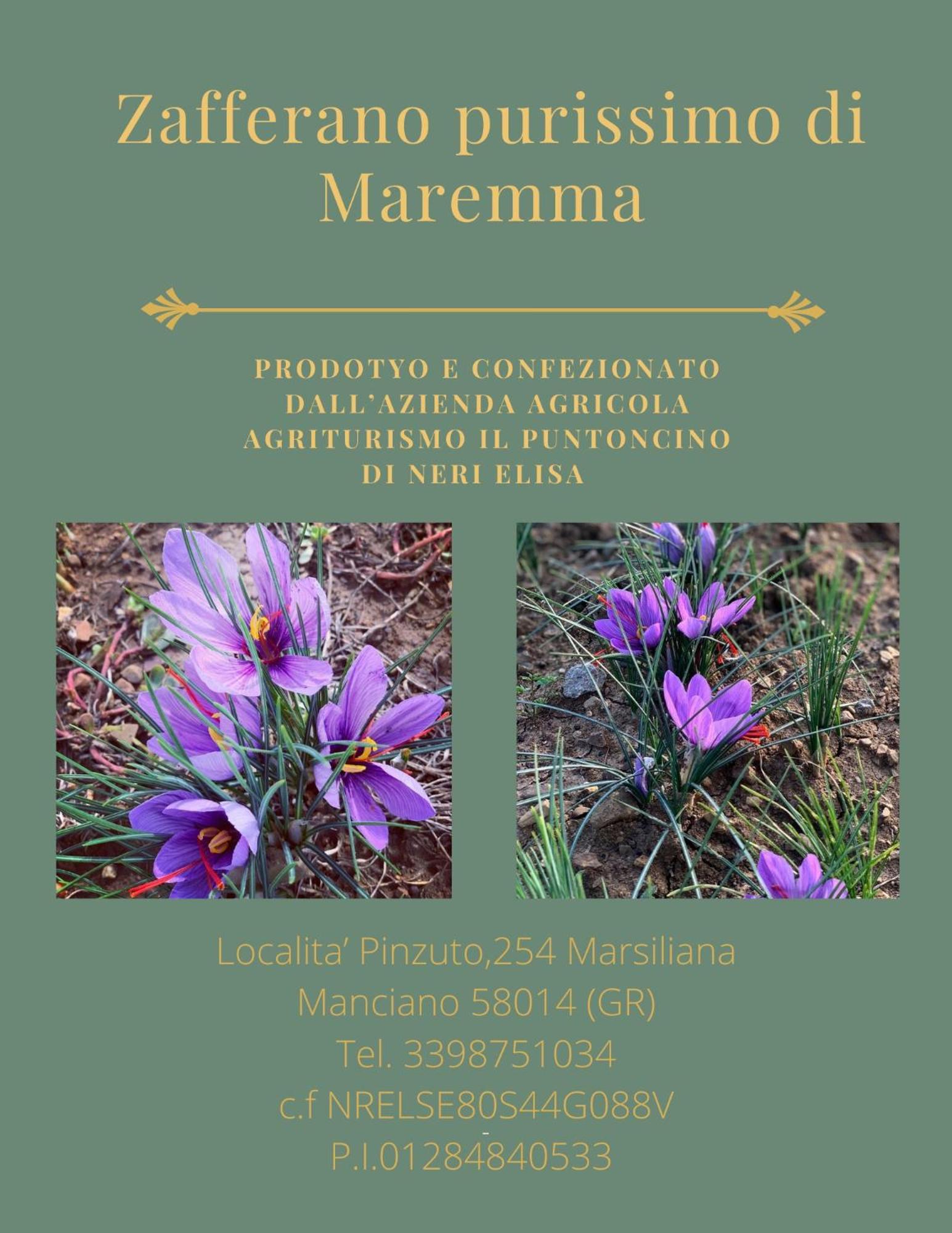 Agriturismo Il Puntoncino
