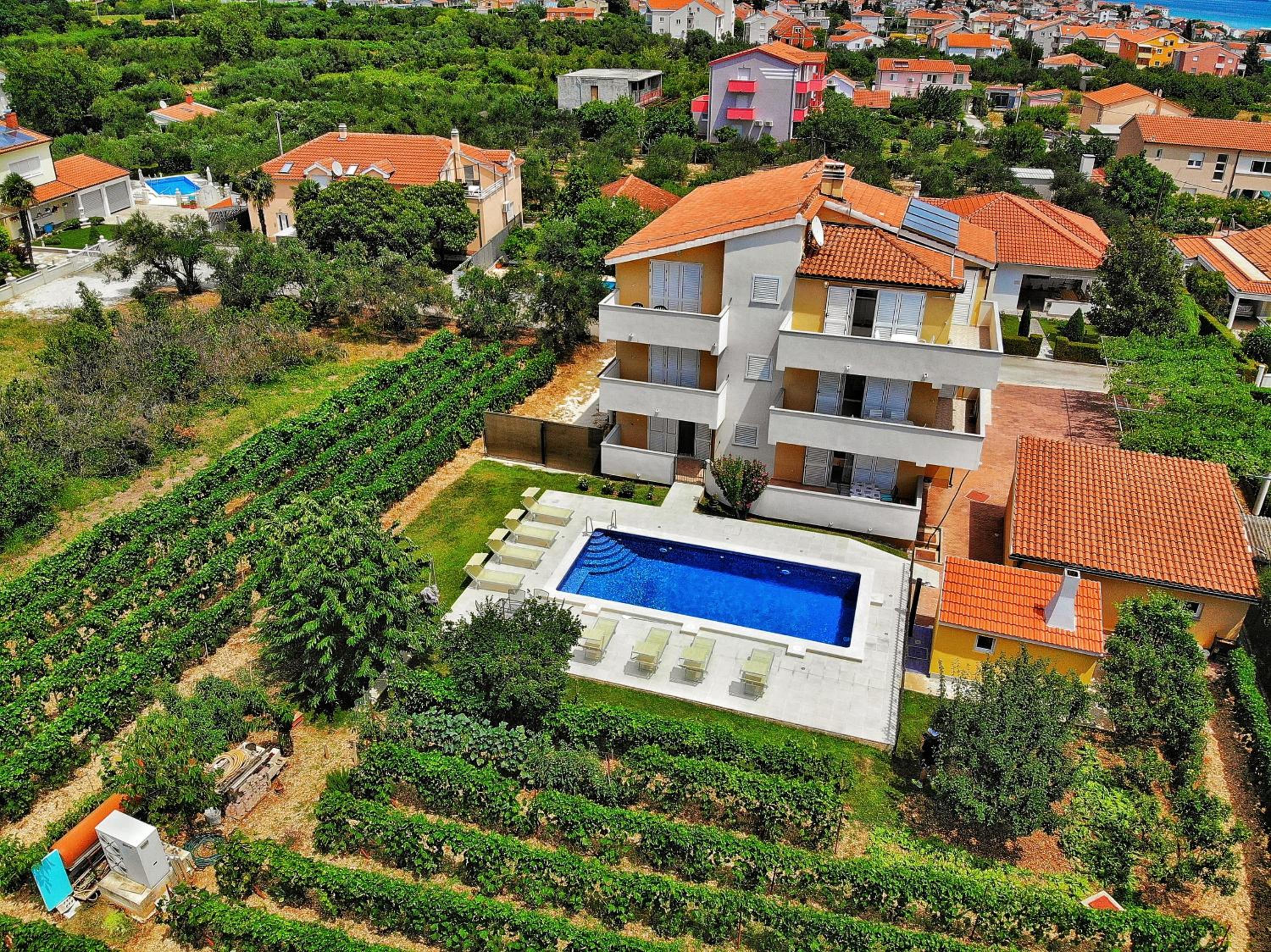 Villa Apartments Olivetum view 5