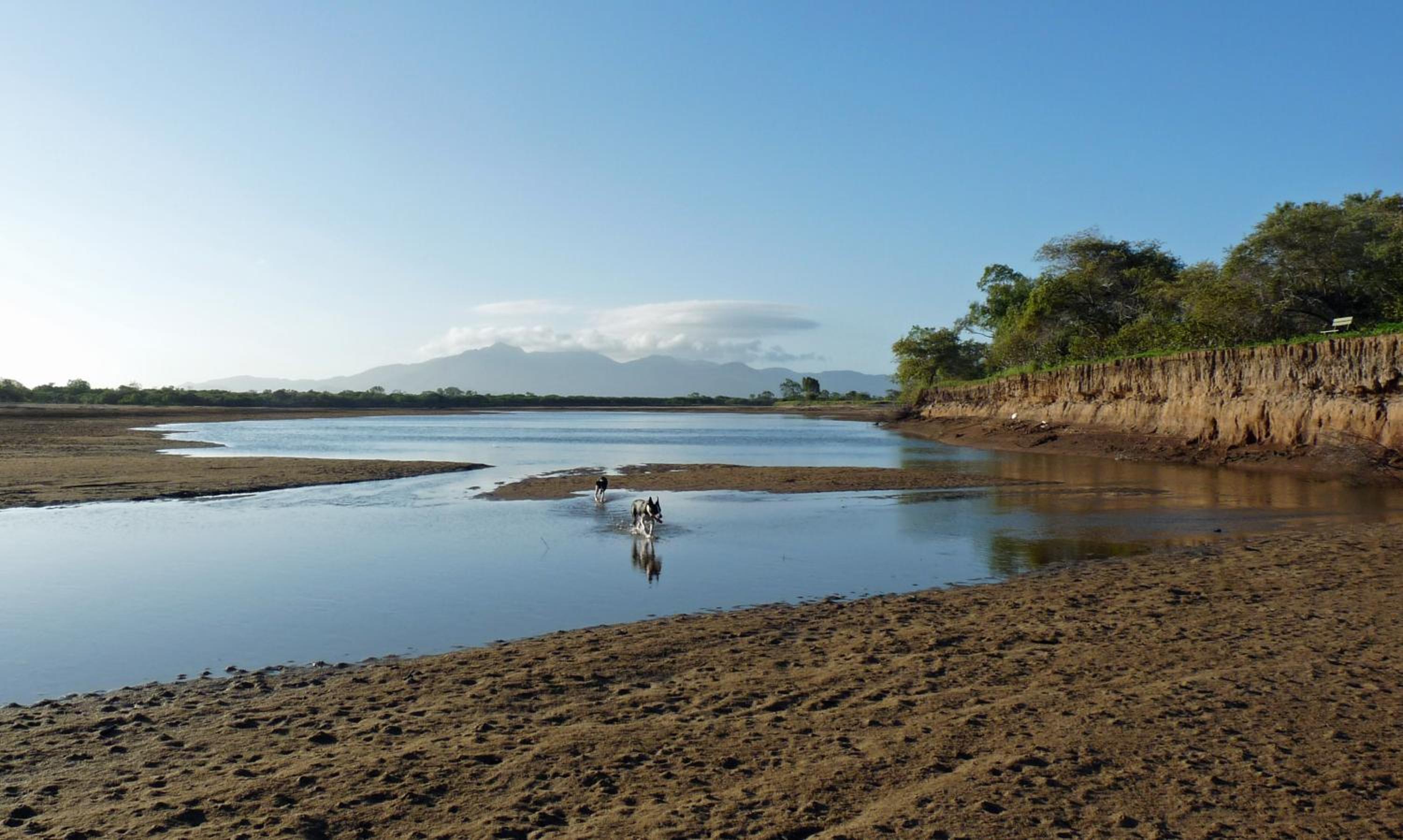 Elliot River Retreat - Pet Friendly