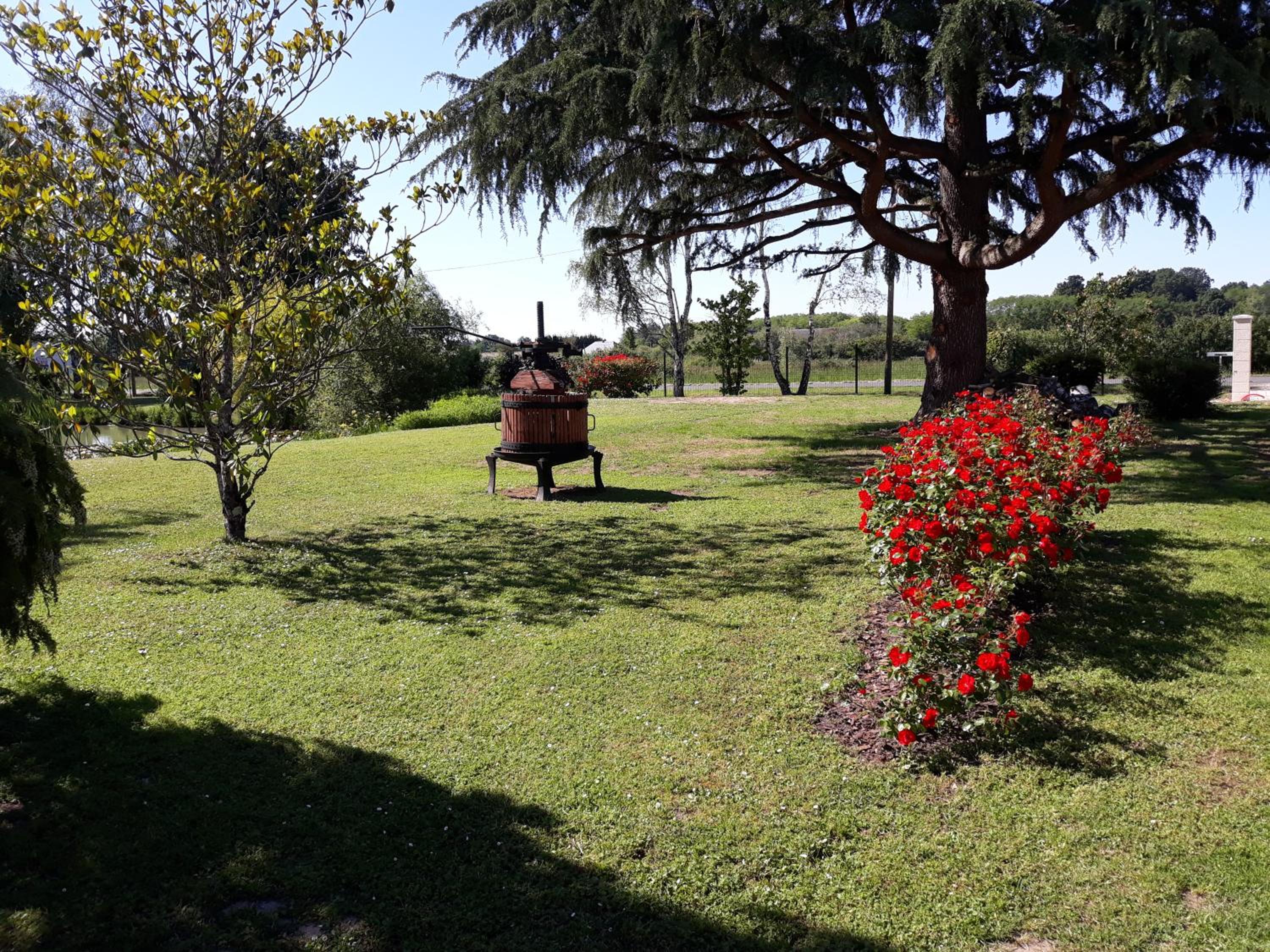 Les ROSEAUX A la Campagne au centre des chateaux de la Loire