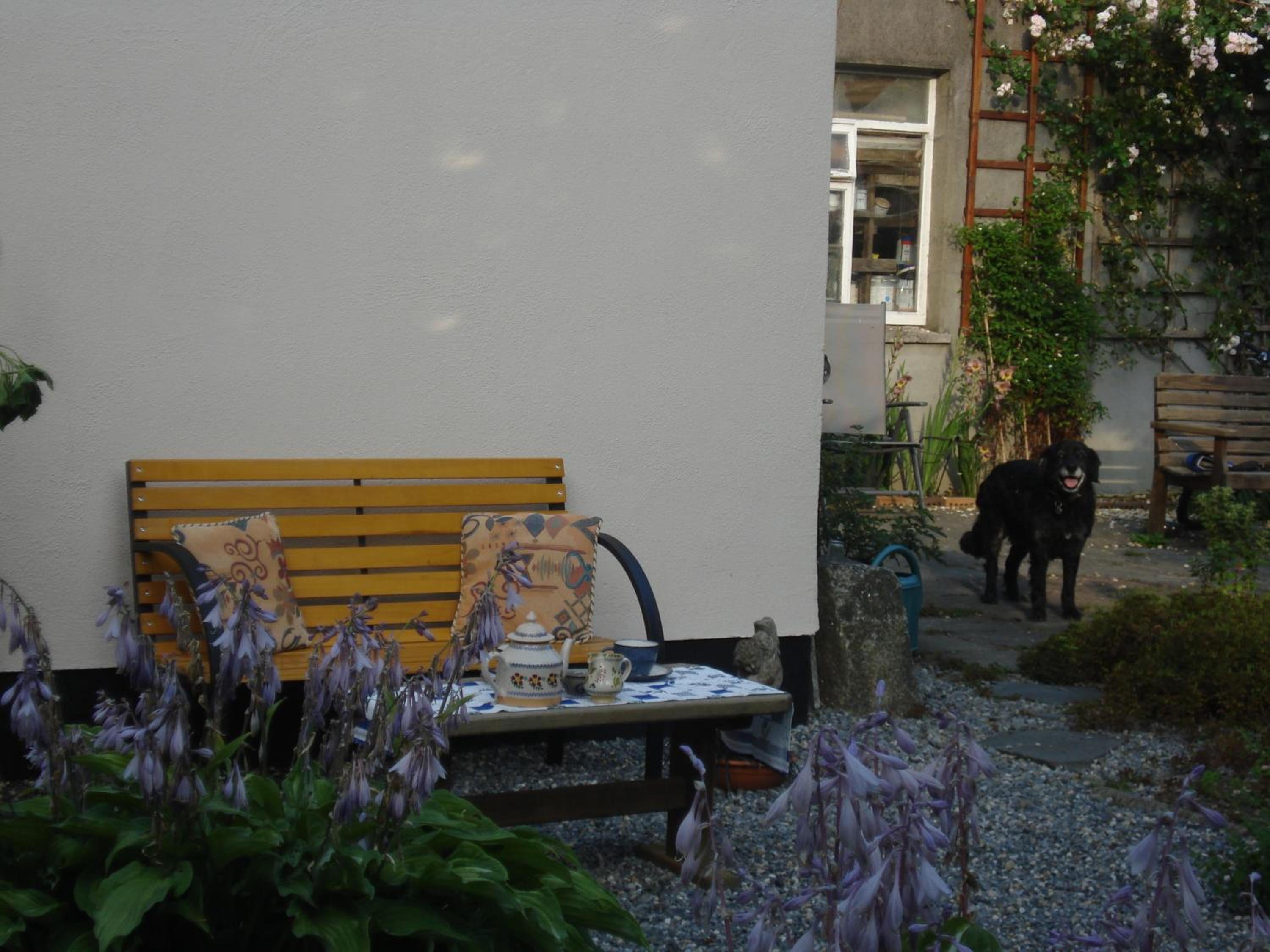Photo 38
