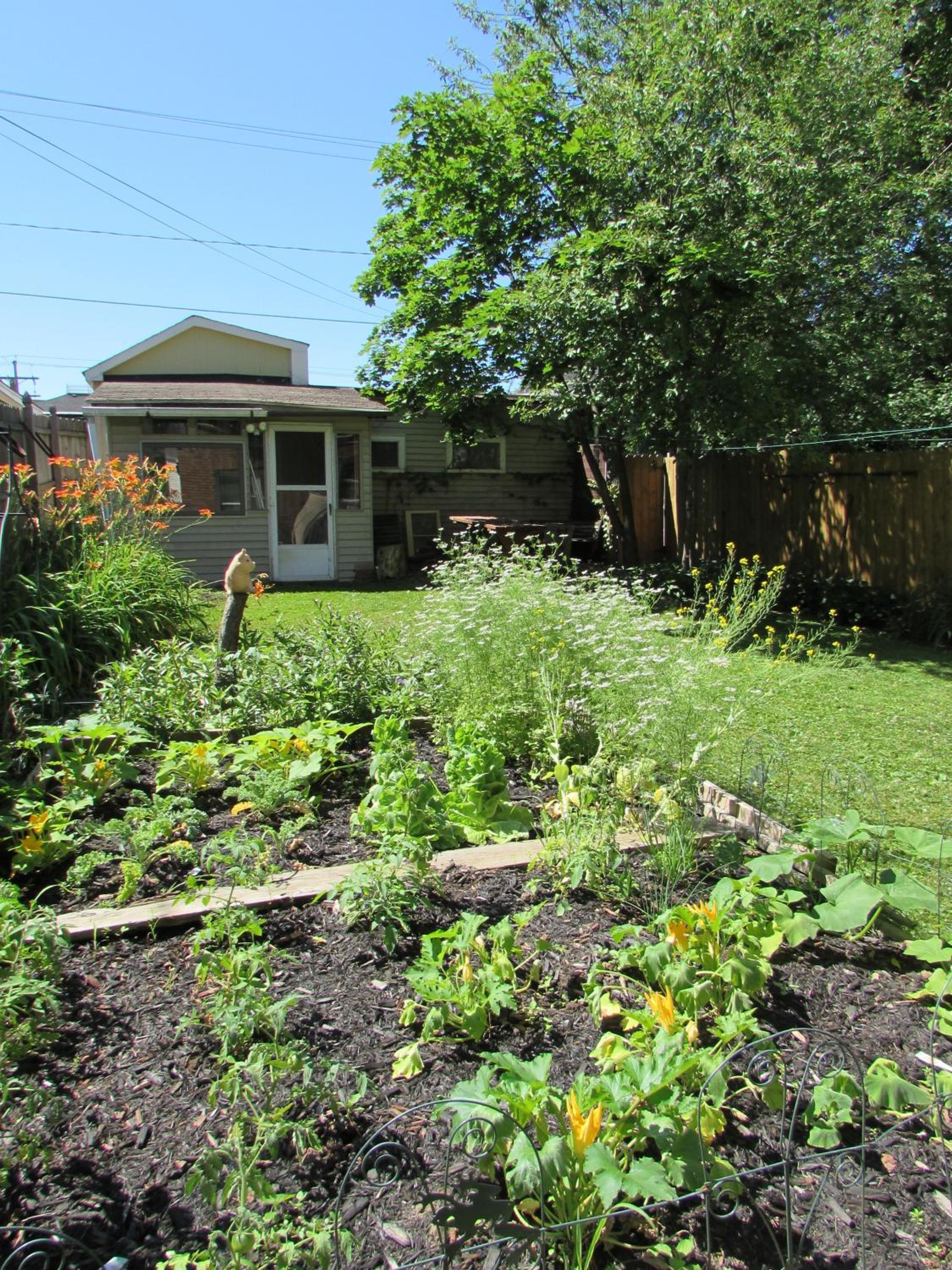 Photo 23